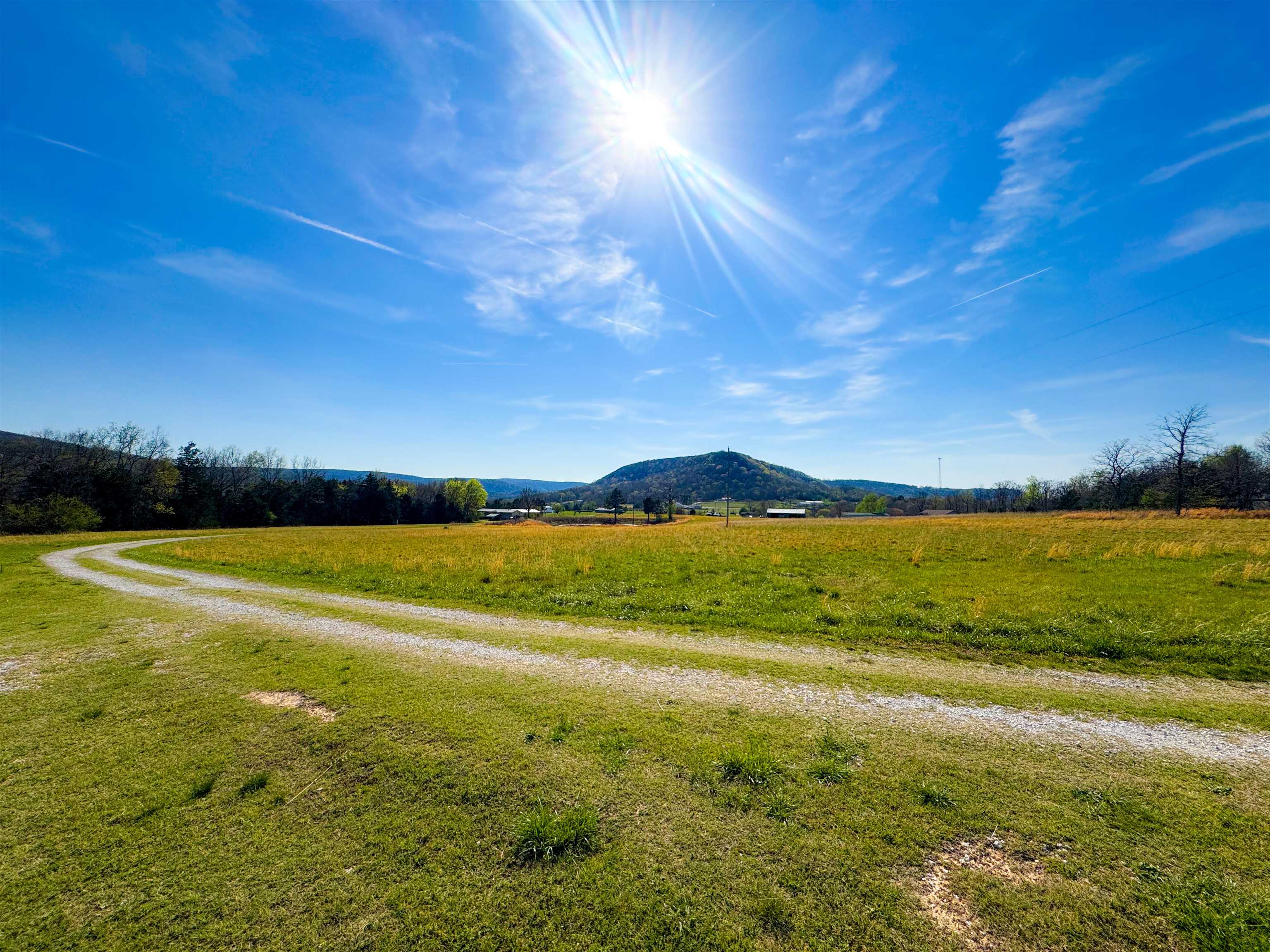 Photo 7 - Residential for sale – 1334  Annette   Mountain View, AR