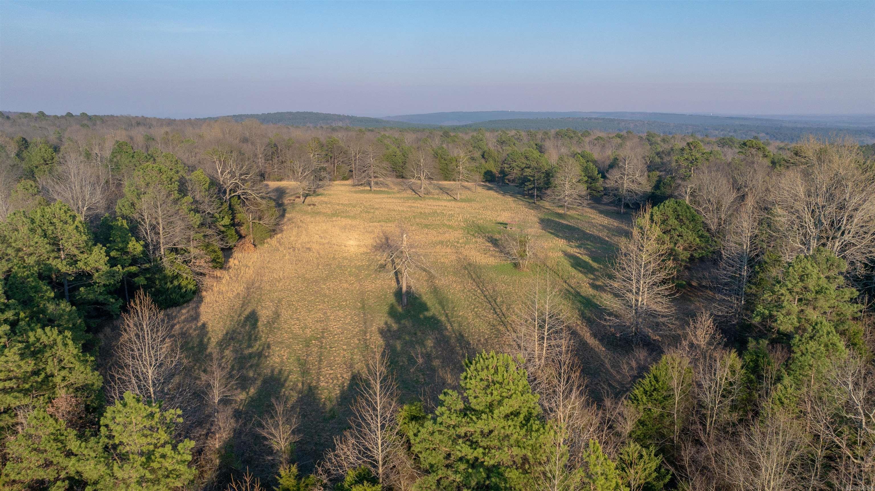 Photo 8 - Vacant Land for sale – 5  Cartwright Rd   Locust Grove, AR