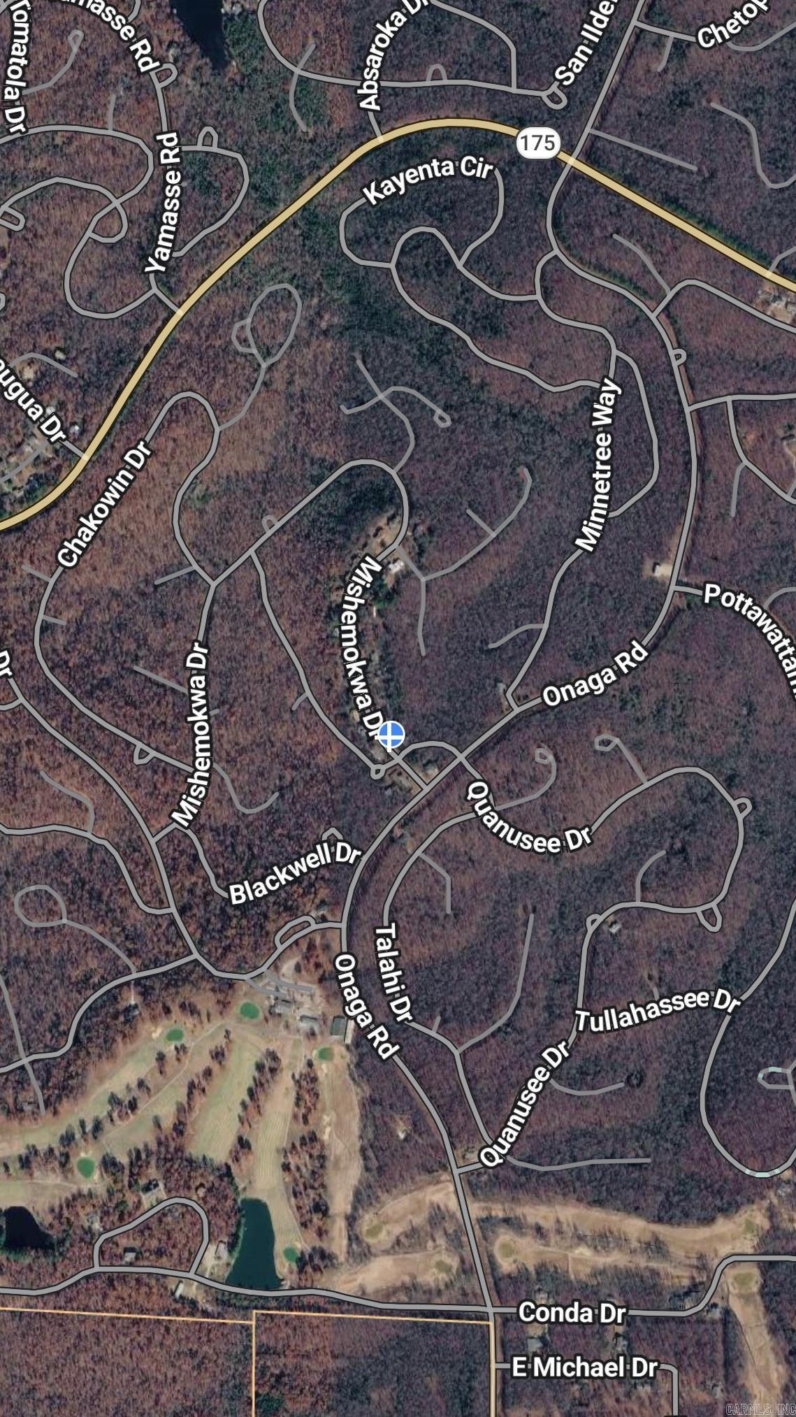 Photo 48 - Residential for sale – 4  Mishemokwa   Cherokee Village, AR