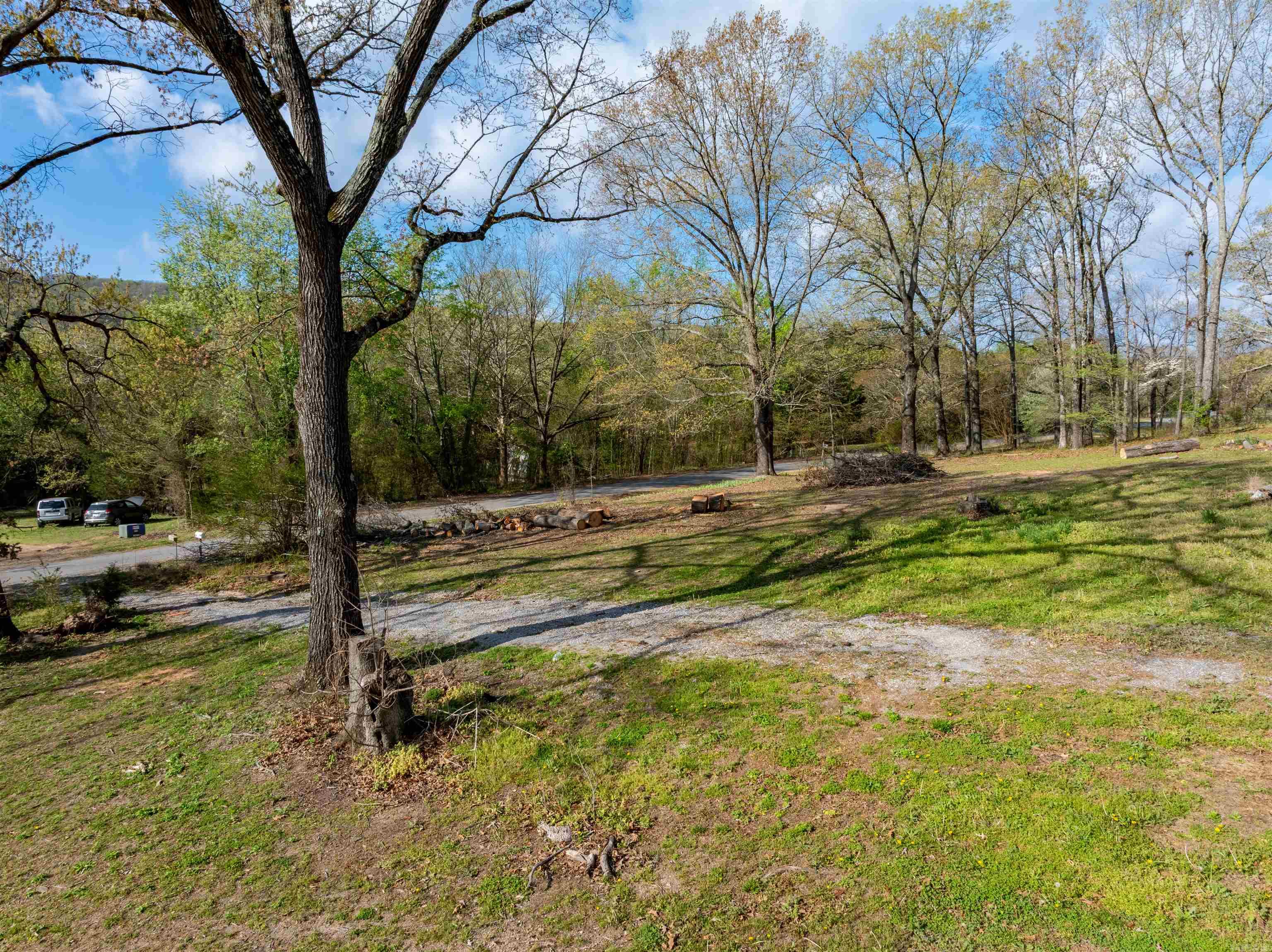 Photo 5 - Vacant Land for sale – 60  Caney   Batesville, AR