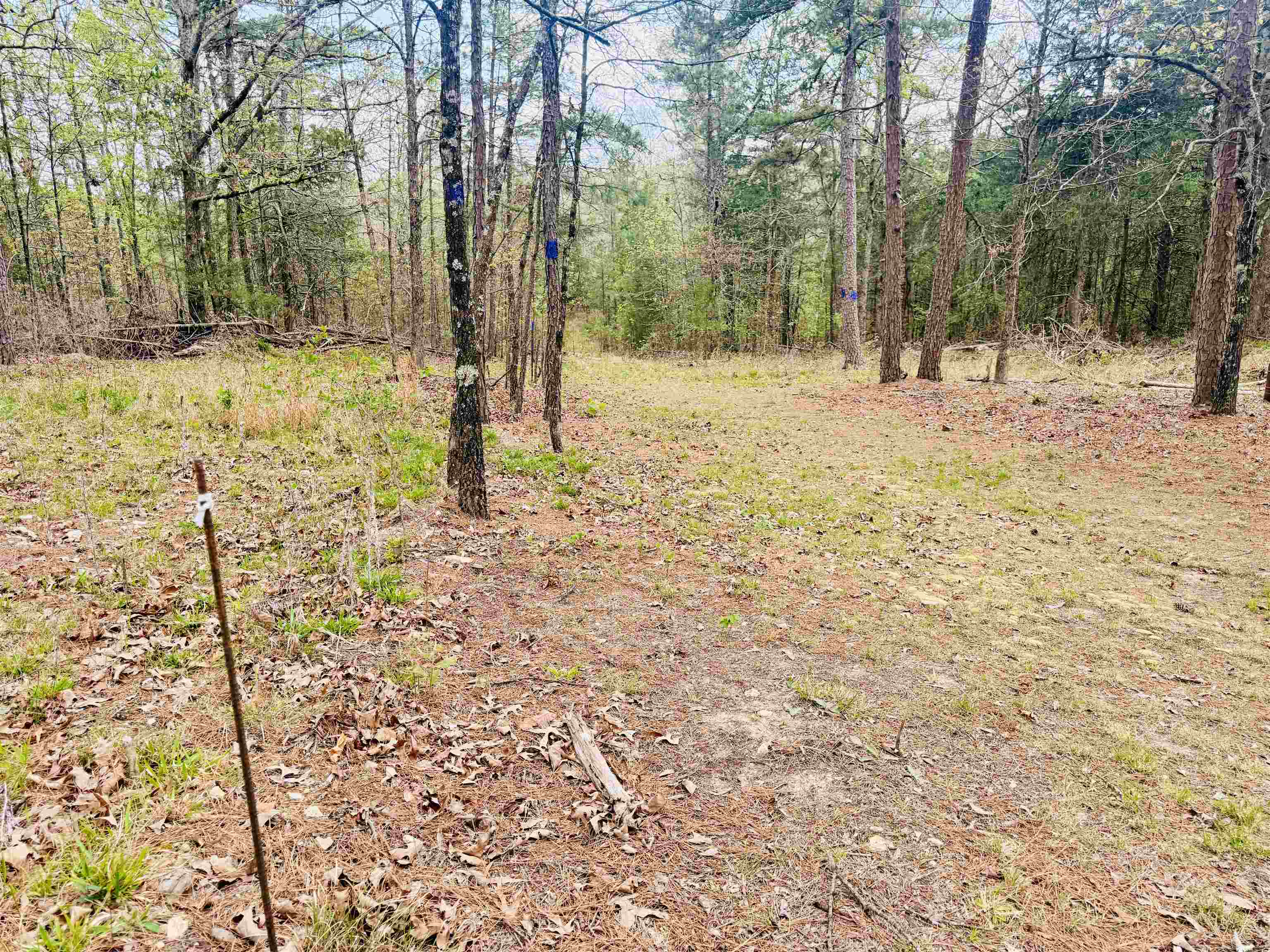 Photo 32 - Residential for sale – 90  Potemdyke   Evening Shade, AR