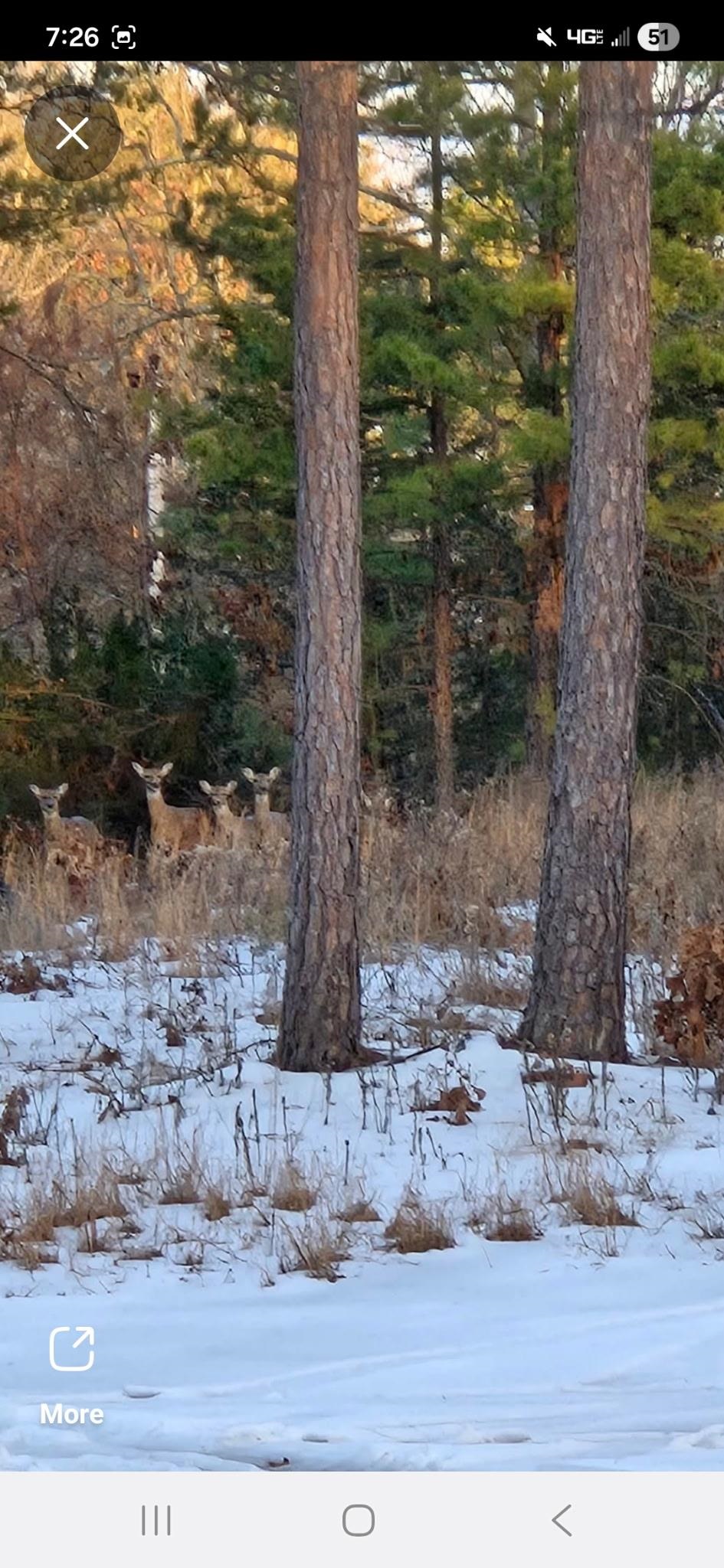 Photo 41 - Residential for sale – 90  Potemdyke   Evening Shade, AR