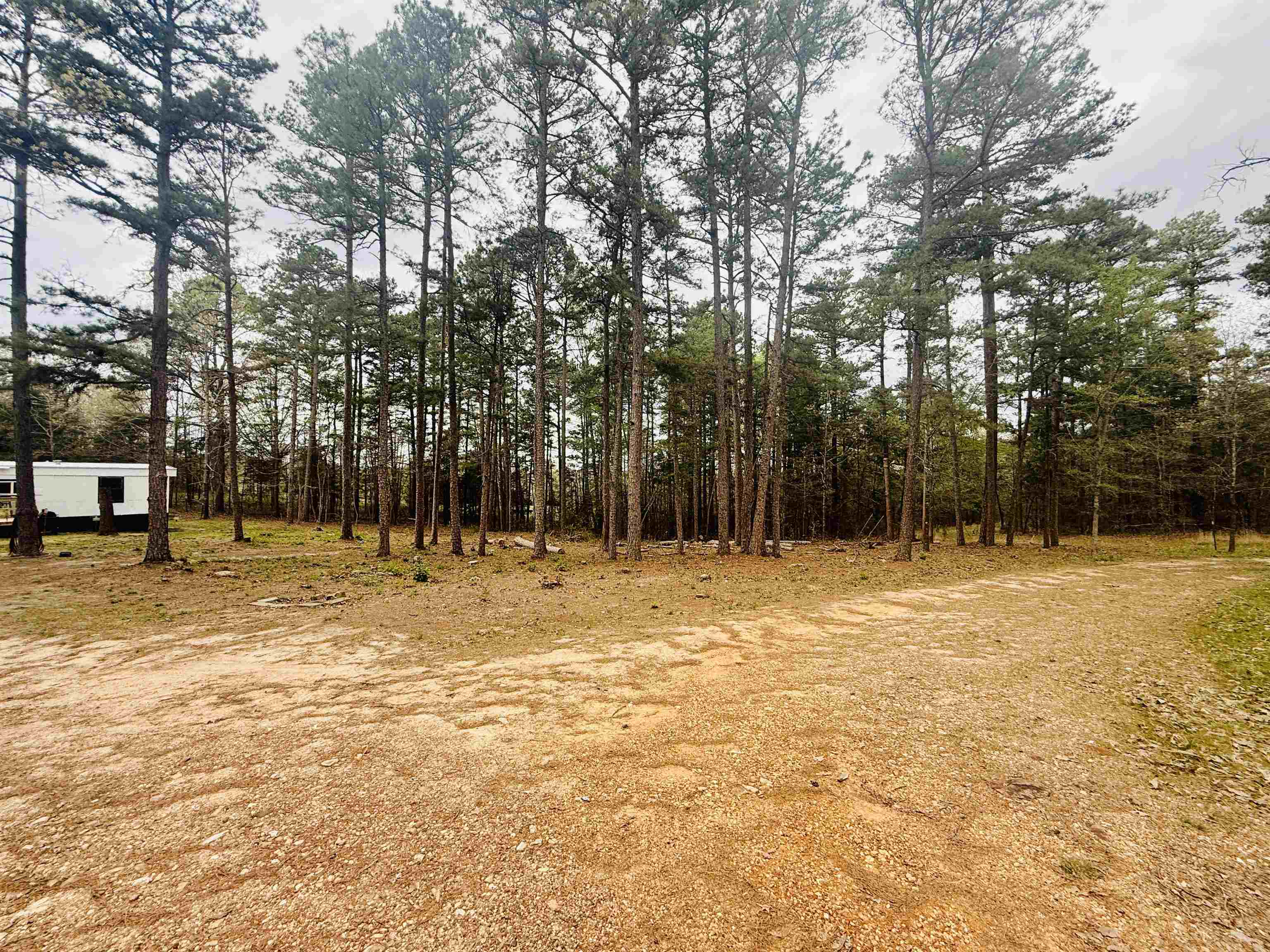 Photo 7 - Residential for sale – 90  Potemdyke   Evening Shade, AR