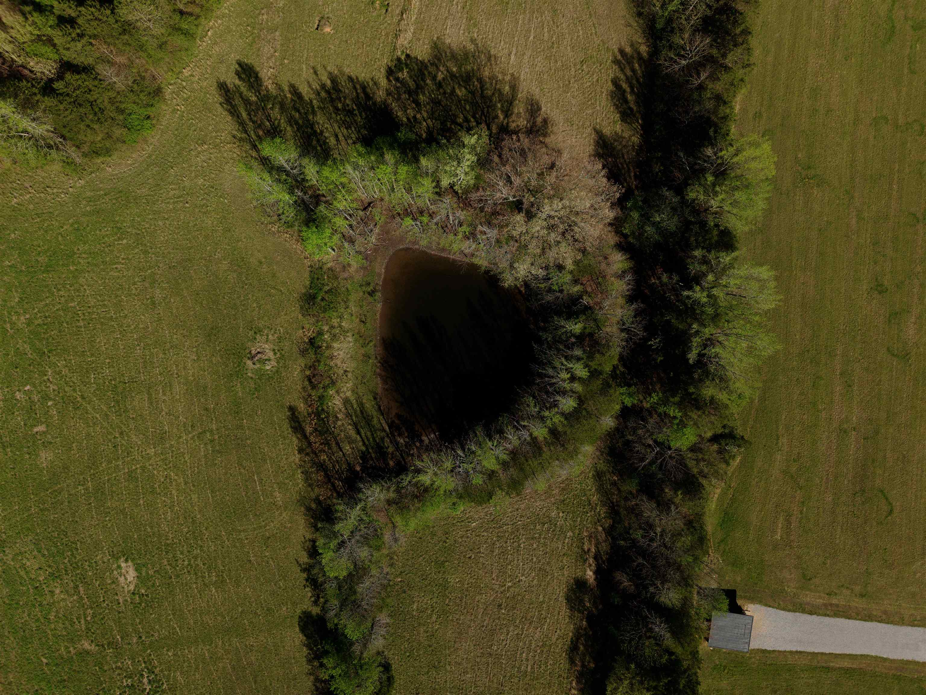 Photo 6 - Vacant Land for sale – 146  Mack   Batesville, AR