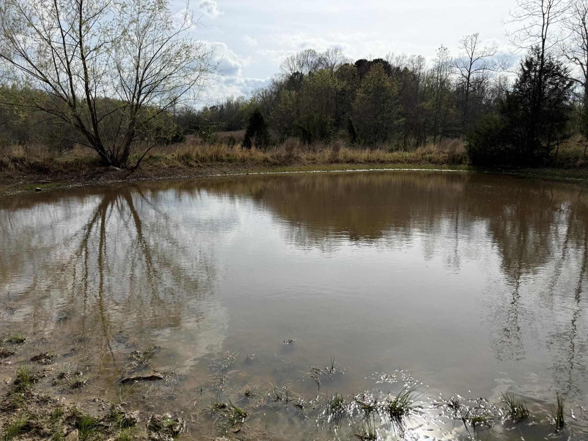 Photo 2 - Vacant Land for sale – 77  Coon Dog Lane   Melbourne, AR