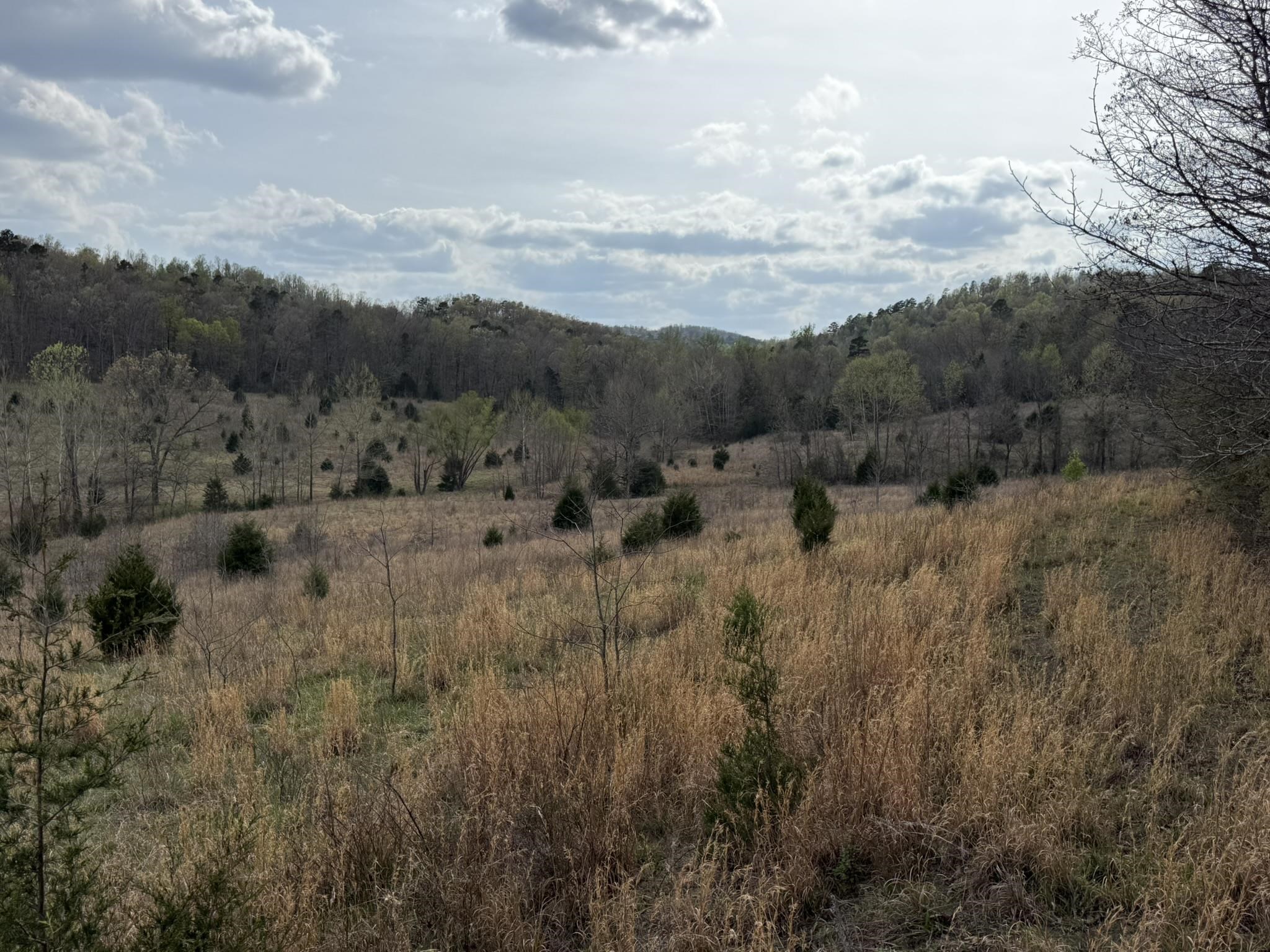 Photo 11 - Vacant Land for sale – 77  Coon Dog Lane   Melbourne, AR