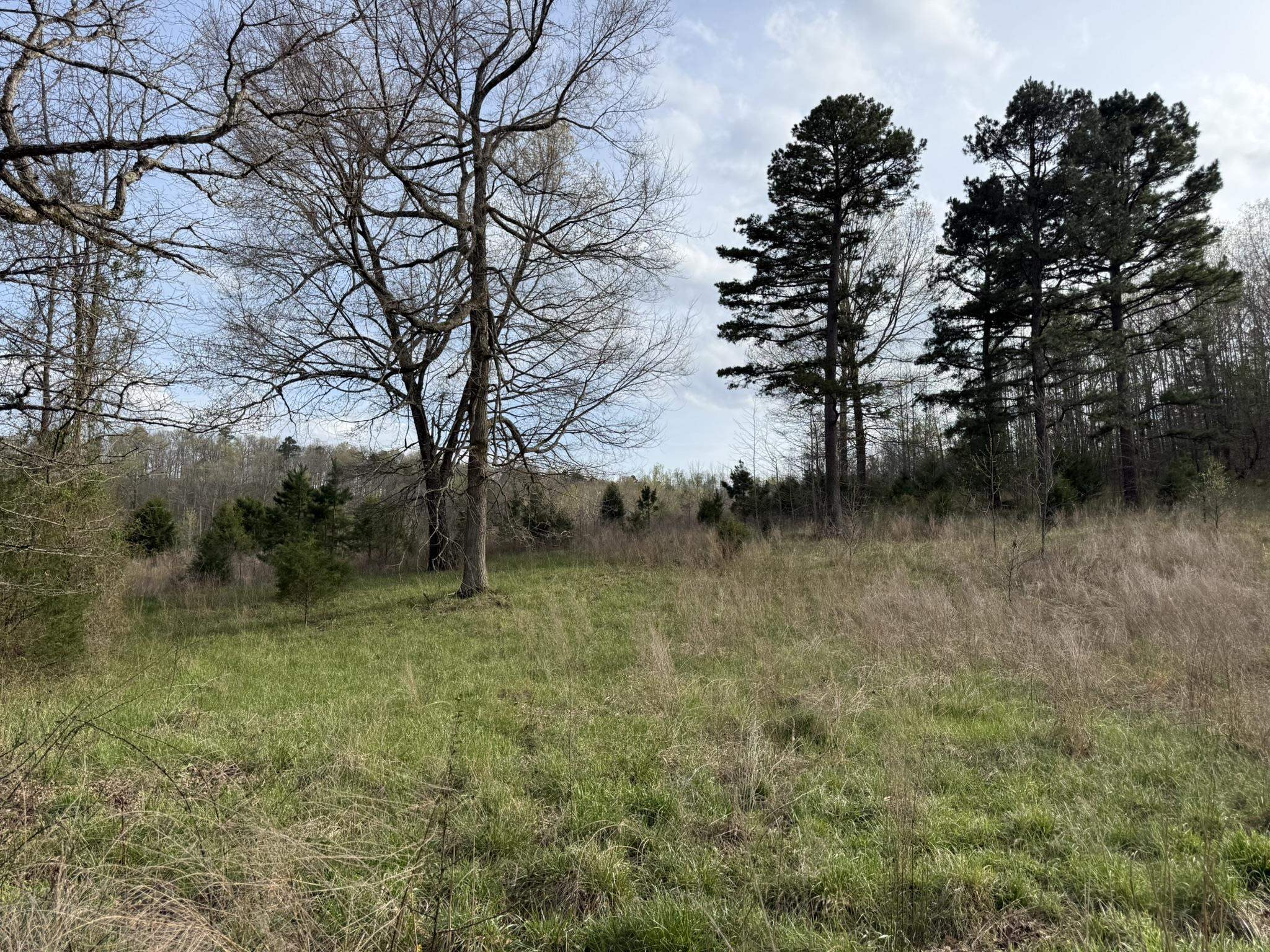 Photo 12 - Vacant Land for sale – 77  Coon Dog Lane   Melbourne, AR