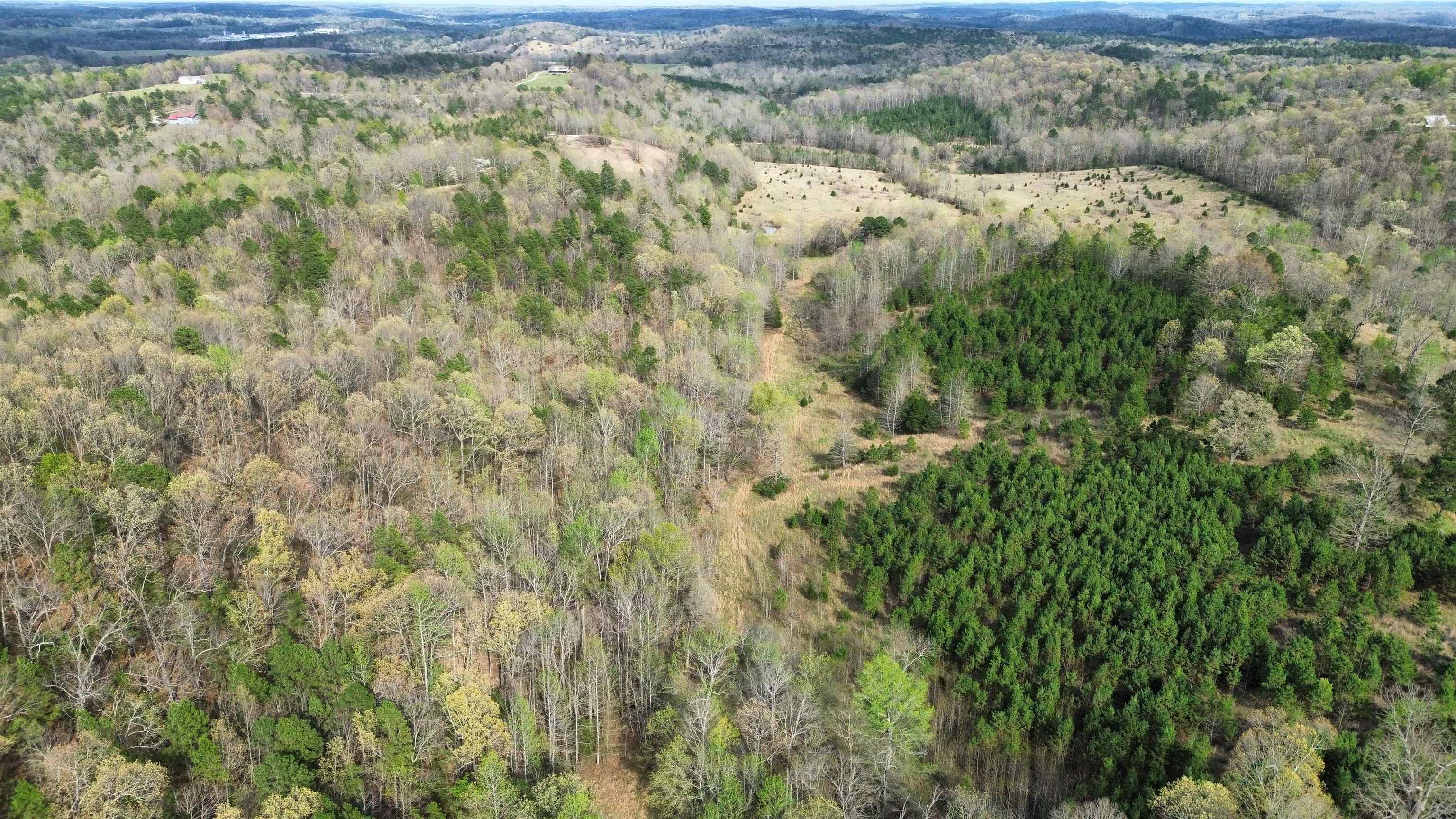 Photo 13 - Vacant Land for sale – 77  Coon Dog Lane   Melbourne, AR