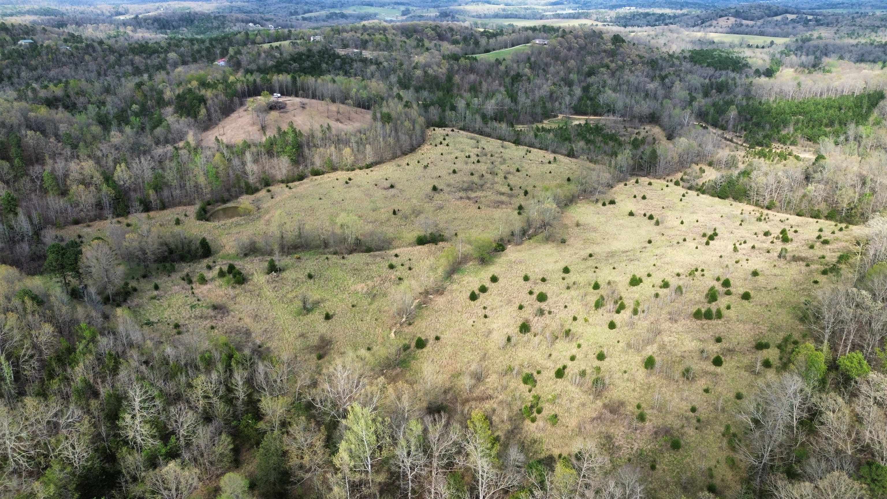 Photo 14 - Vacant Land for sale – 77  Coon Dog Lane   Melbourne, AR