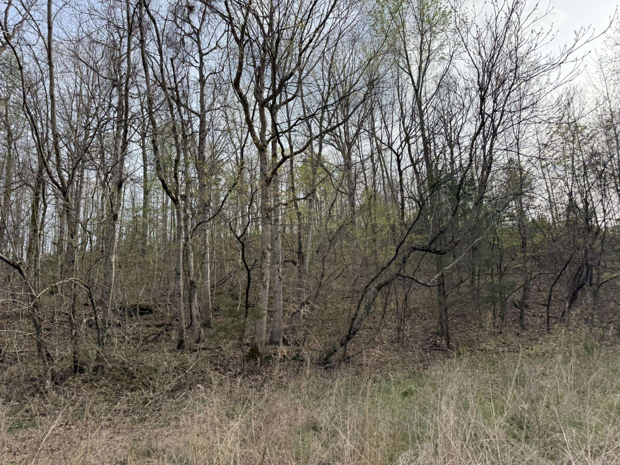 Photo 15 - Vacant Land for sale – 77  Coon Dog Lane   Melbourne, AR