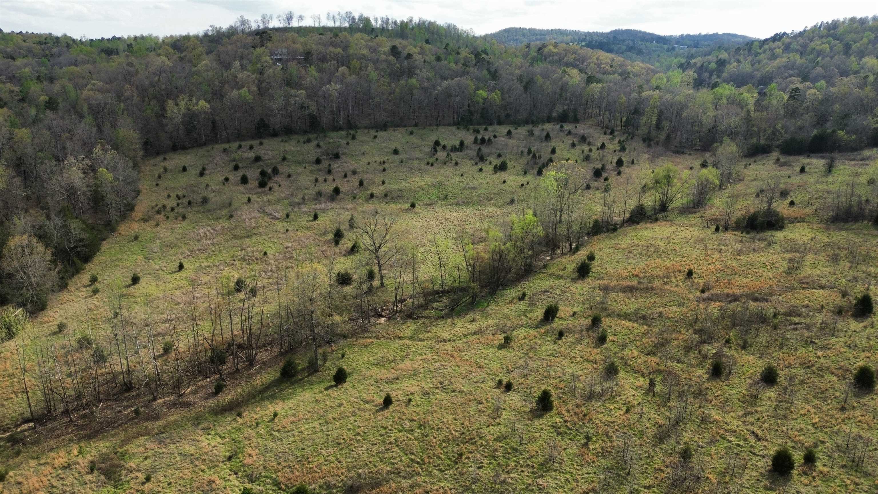 Photo 16 - Vacant Land for sale – 77  Coon Dog Lane   Melbourne, AR