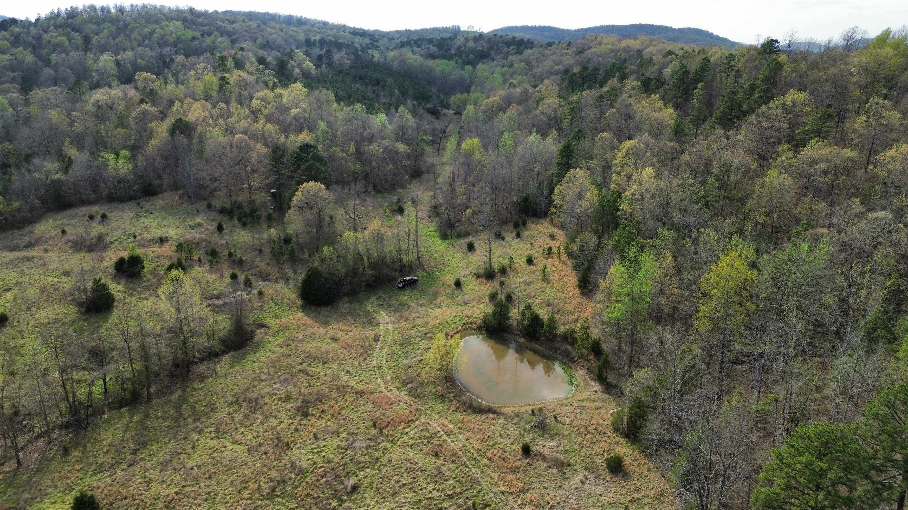 Photo 17 - Vacant Land for sale – 77  Coon Dog Lane   Melbourne, AR