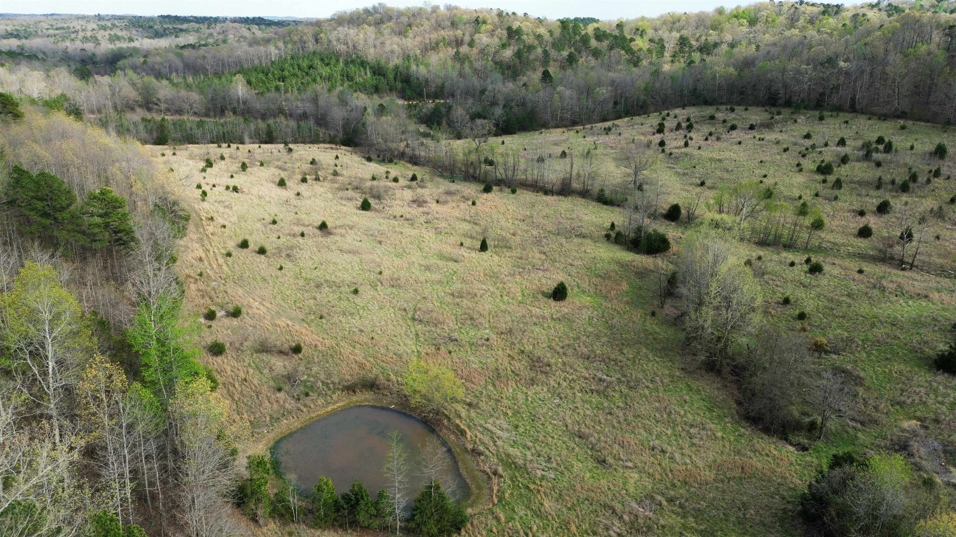 Photo 19 - Vacant Land for sale – 77  Coon Dog Lane   Melbourne, AR