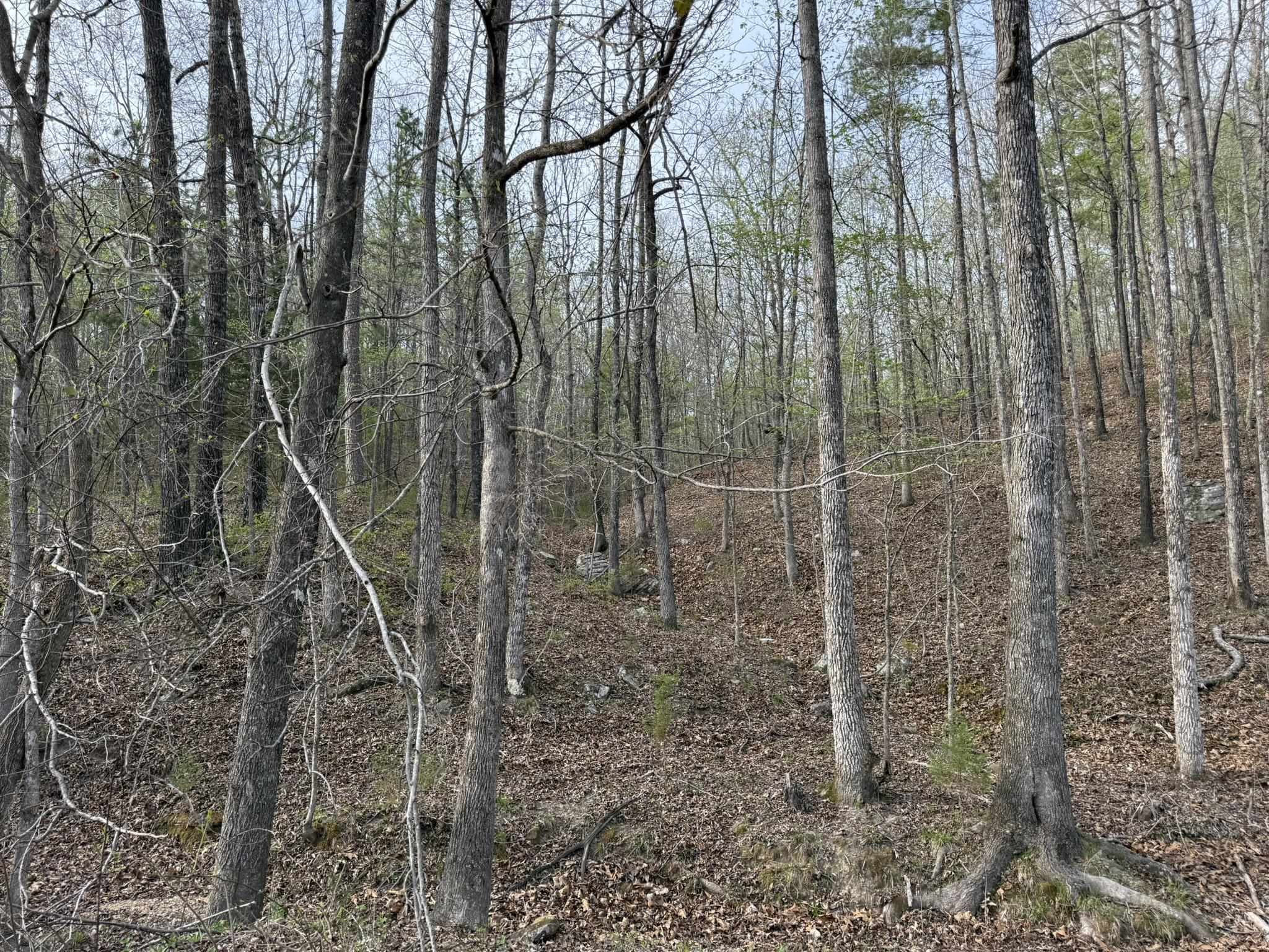 Photo 20 - Vacant Land for sale – 77  Coon Dog Lane   Melbourne, AR