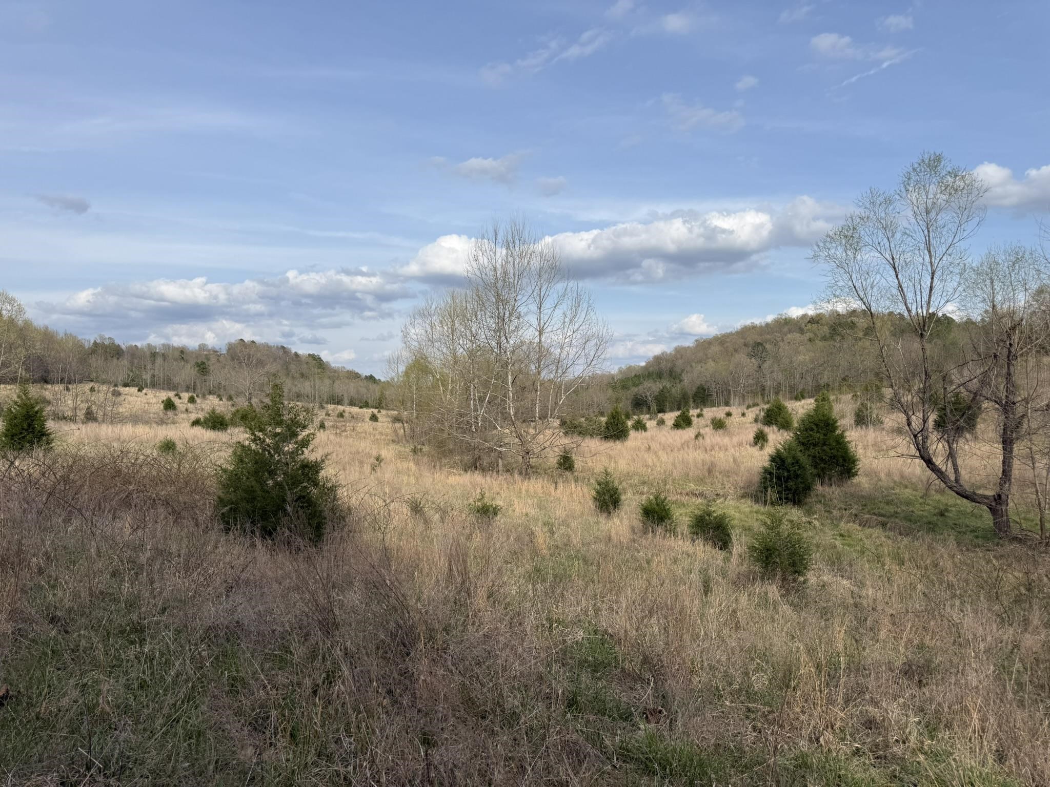 Photo 21 - Vacant Land for sale – 77  Coon Dog Lane   Melbourne, AR