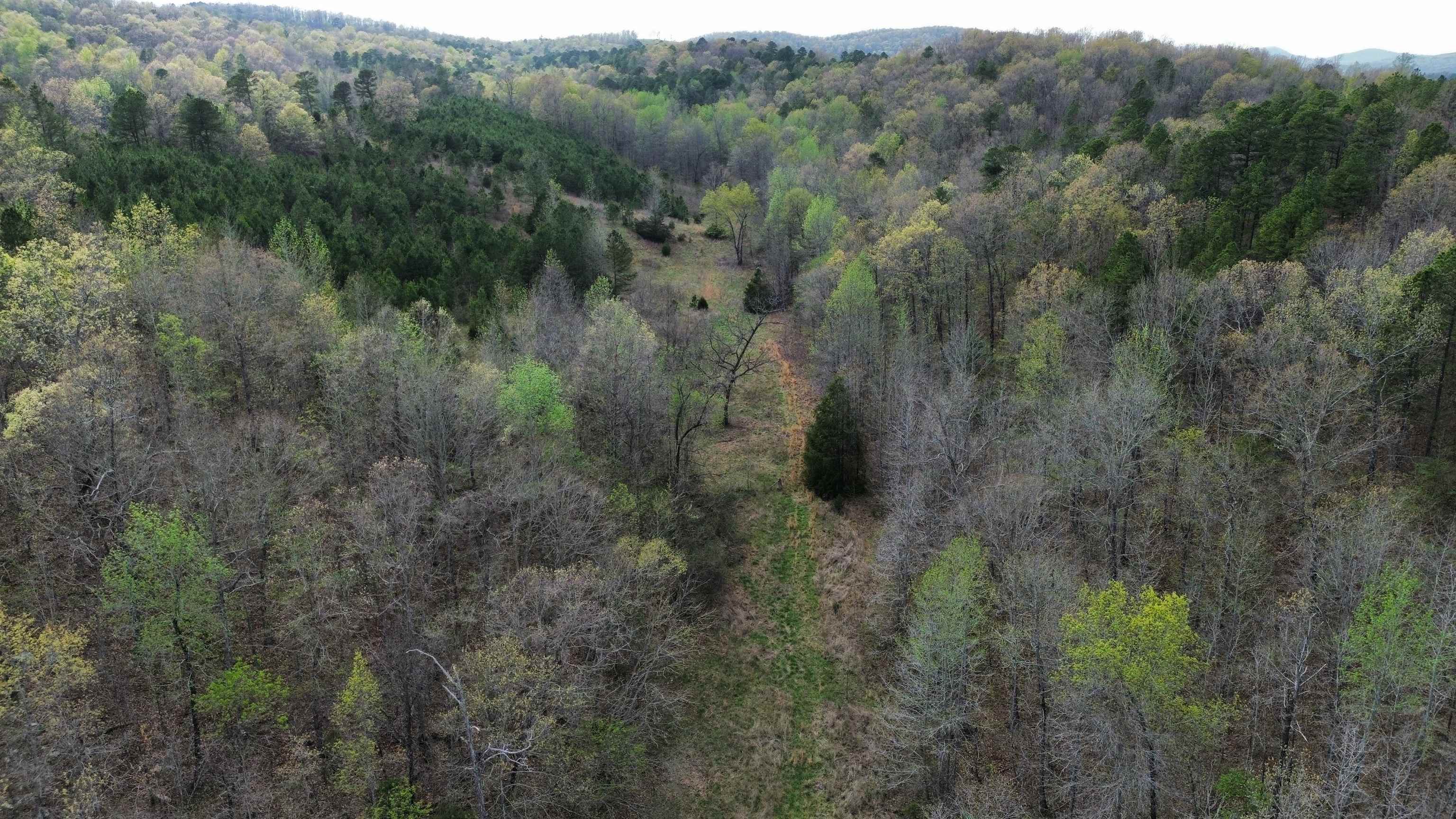 Photo 22 - Vacant Land for sale – 77  Coon Dog Lane   Melbourne, AR