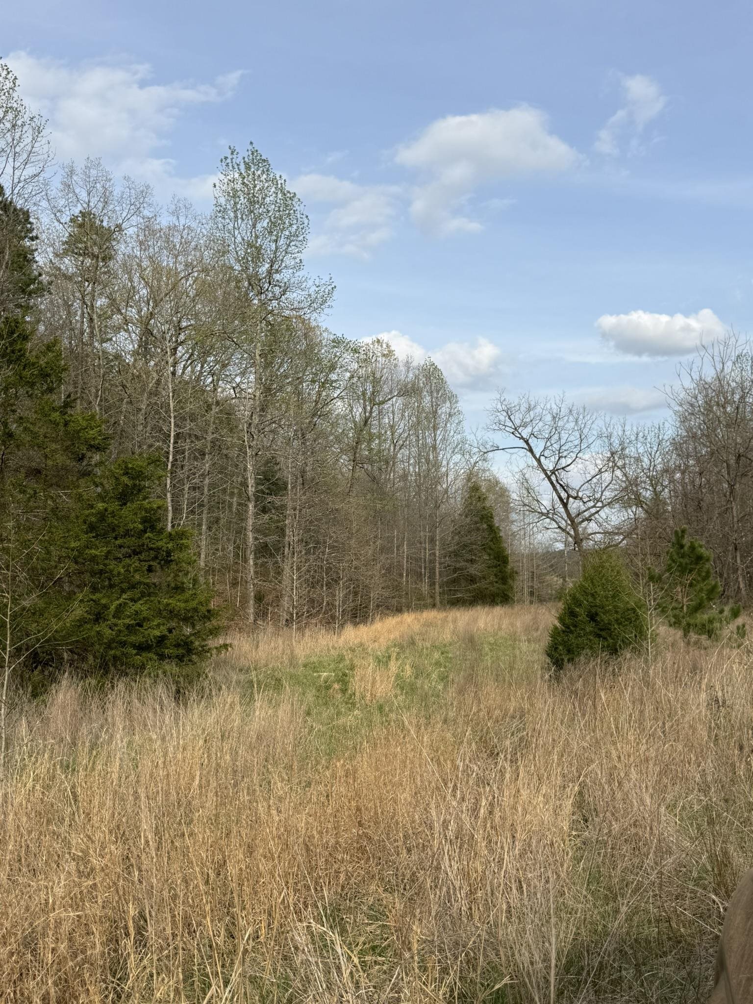 Photo 23 - Vacant Land for sale – 77  Coon Dog Lane   Melbourne, AR