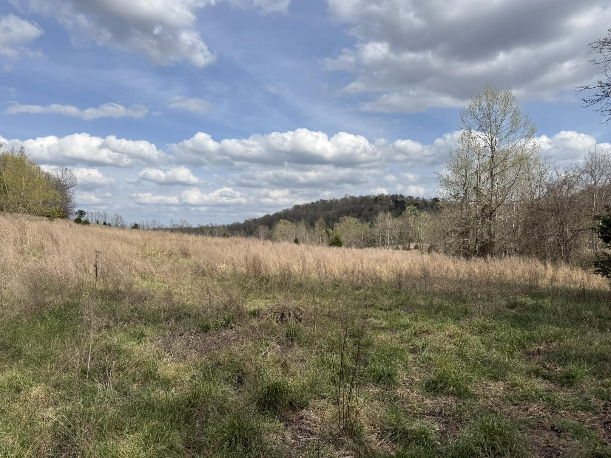 Photo 24 - Vacant Land for sale – 77  Coon Dog Lane   Melbourne, AR