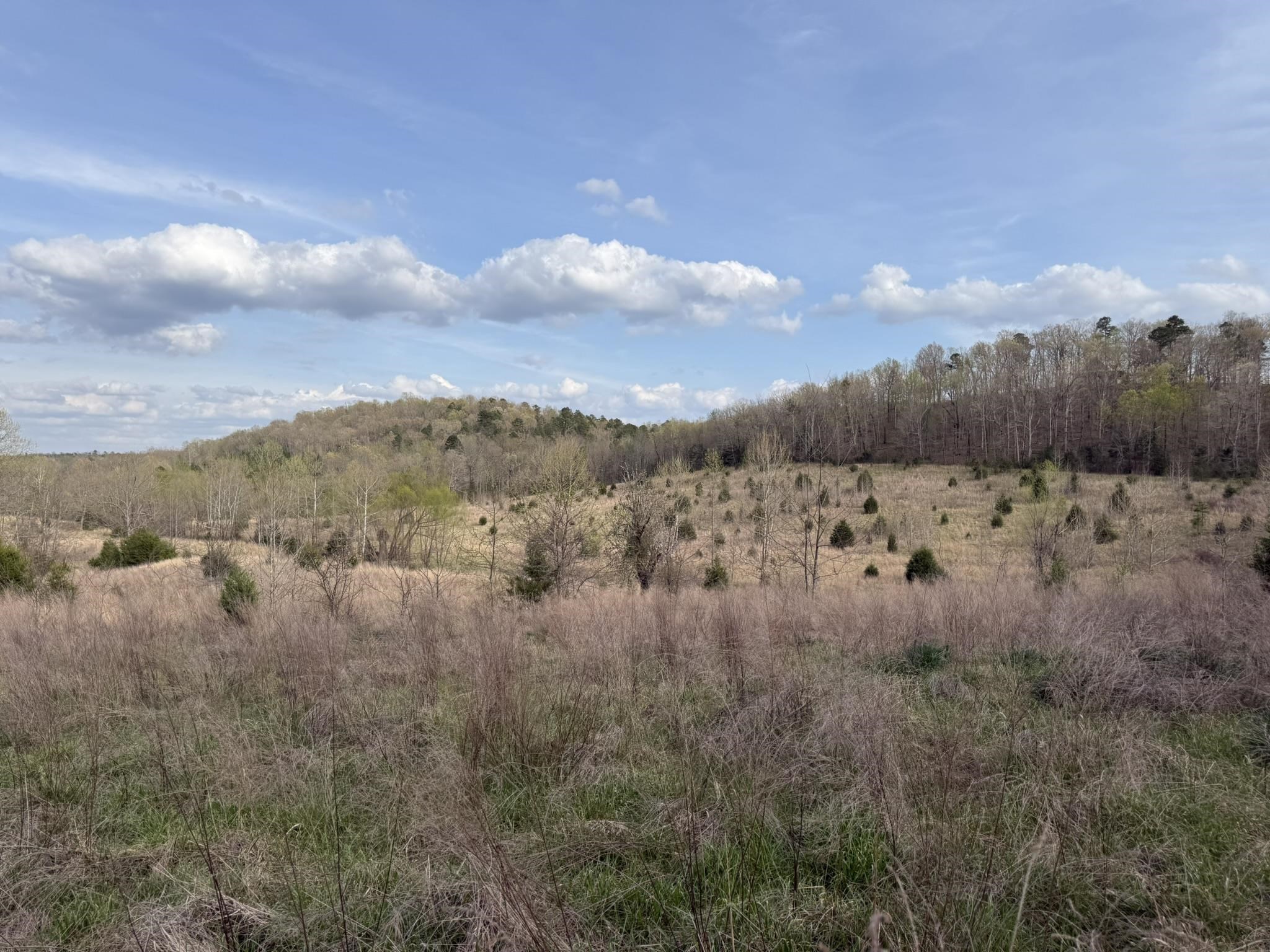 Photo 25 - Vacant Land for sale – 77  Coon Dog Lane   Melbourne, AR