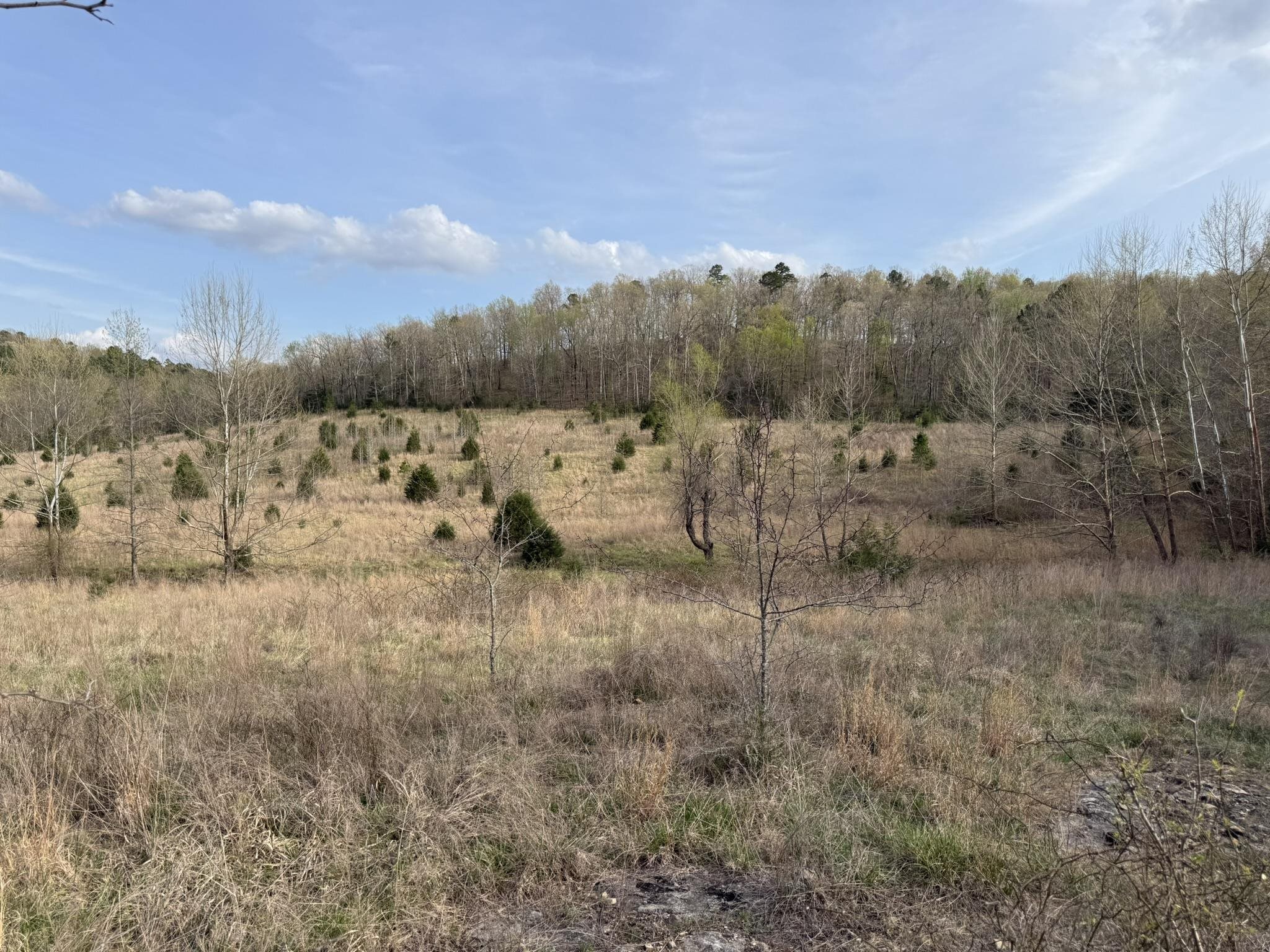 Photo 26 - Vacant Land for sale – 77  Coon Dog Lane   Melbourne, AR