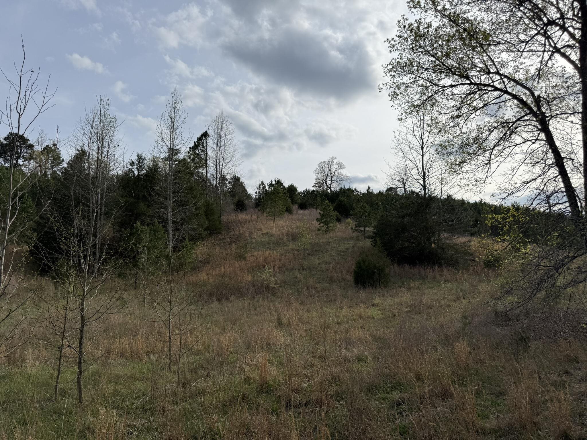 Photo 27 - Vacant Land for sale – 77  Coon Dog Lane   Melbourne, AR