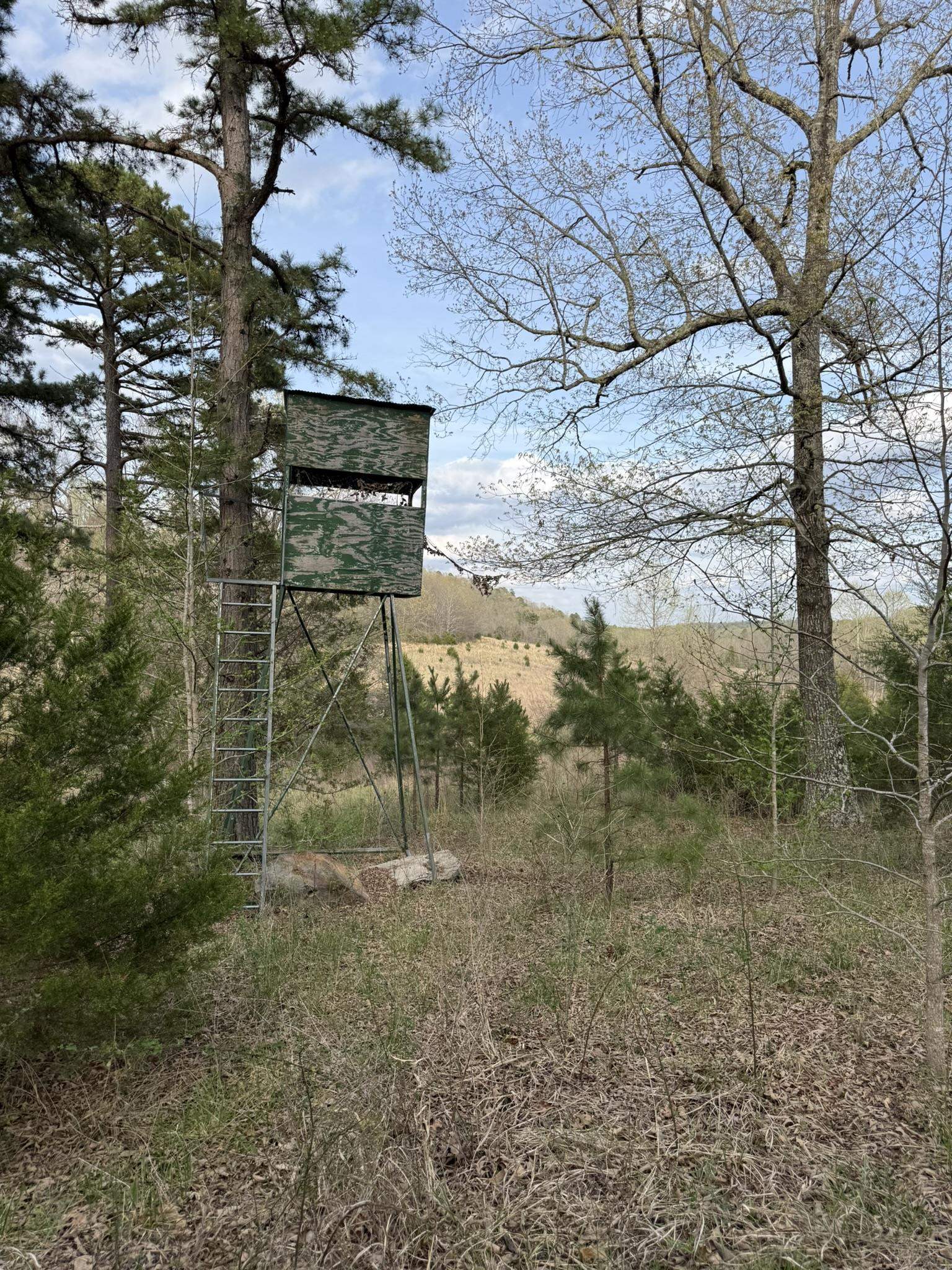 Photo 4 - Vacant Land for sale – 77  Coon Dog Lane   Melbourne, AR