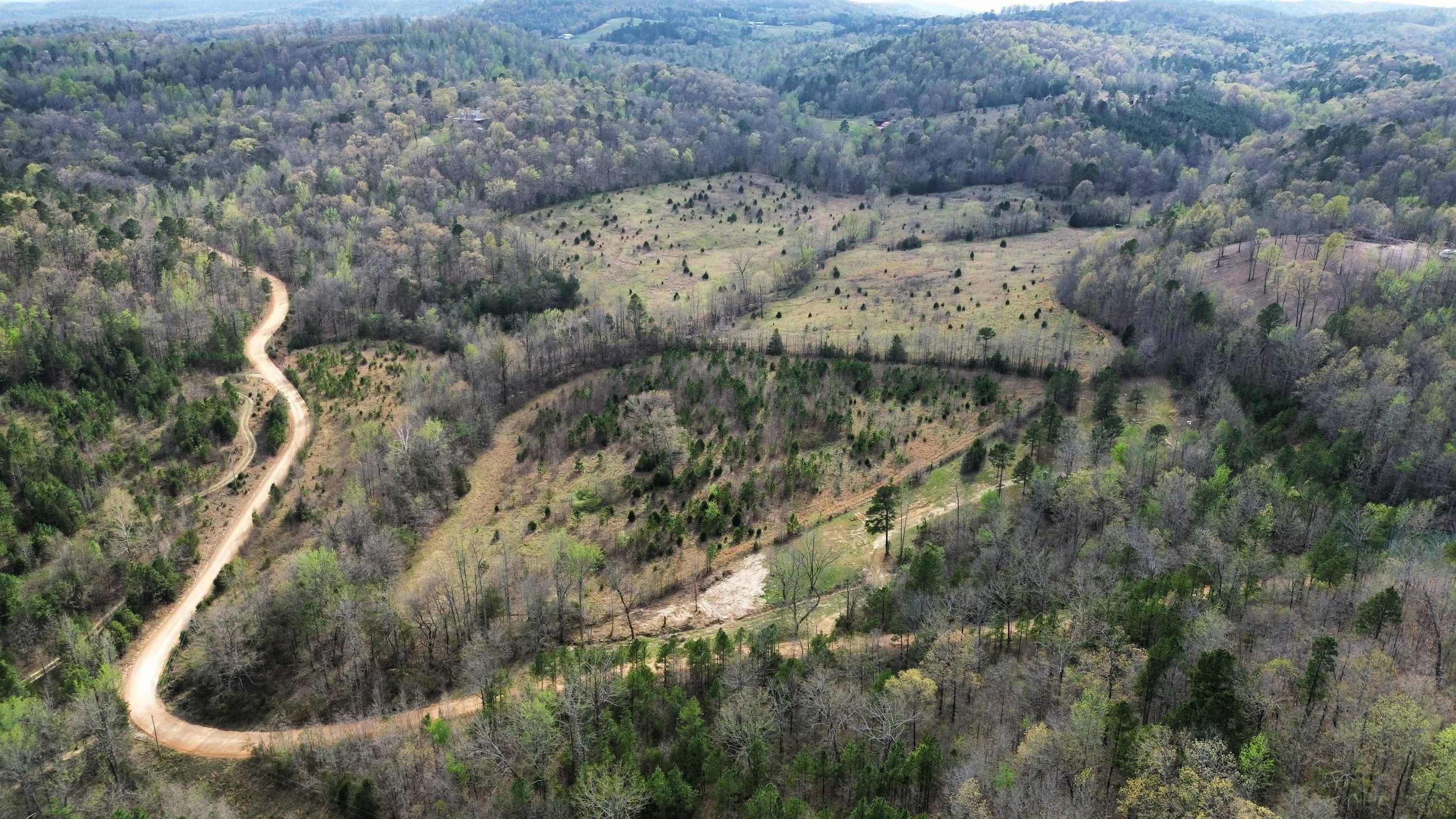 Photo 5 - Vacant Land for sale – 77  Coon Dog Lane   Melbourne, AR