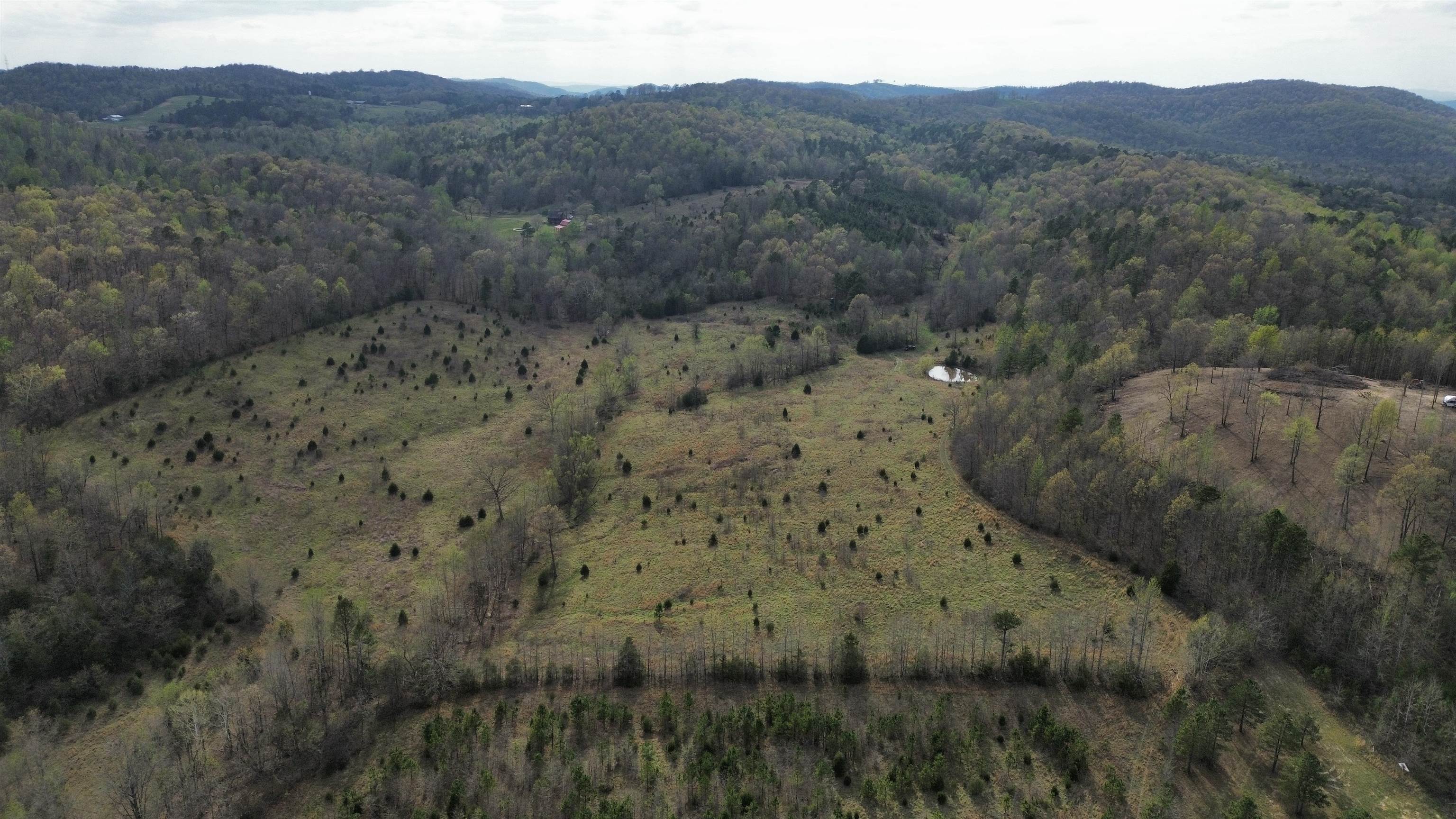 Photo 6 - Vacant Land for sale – 77  Coon Dog Lane   Melbourne, AR