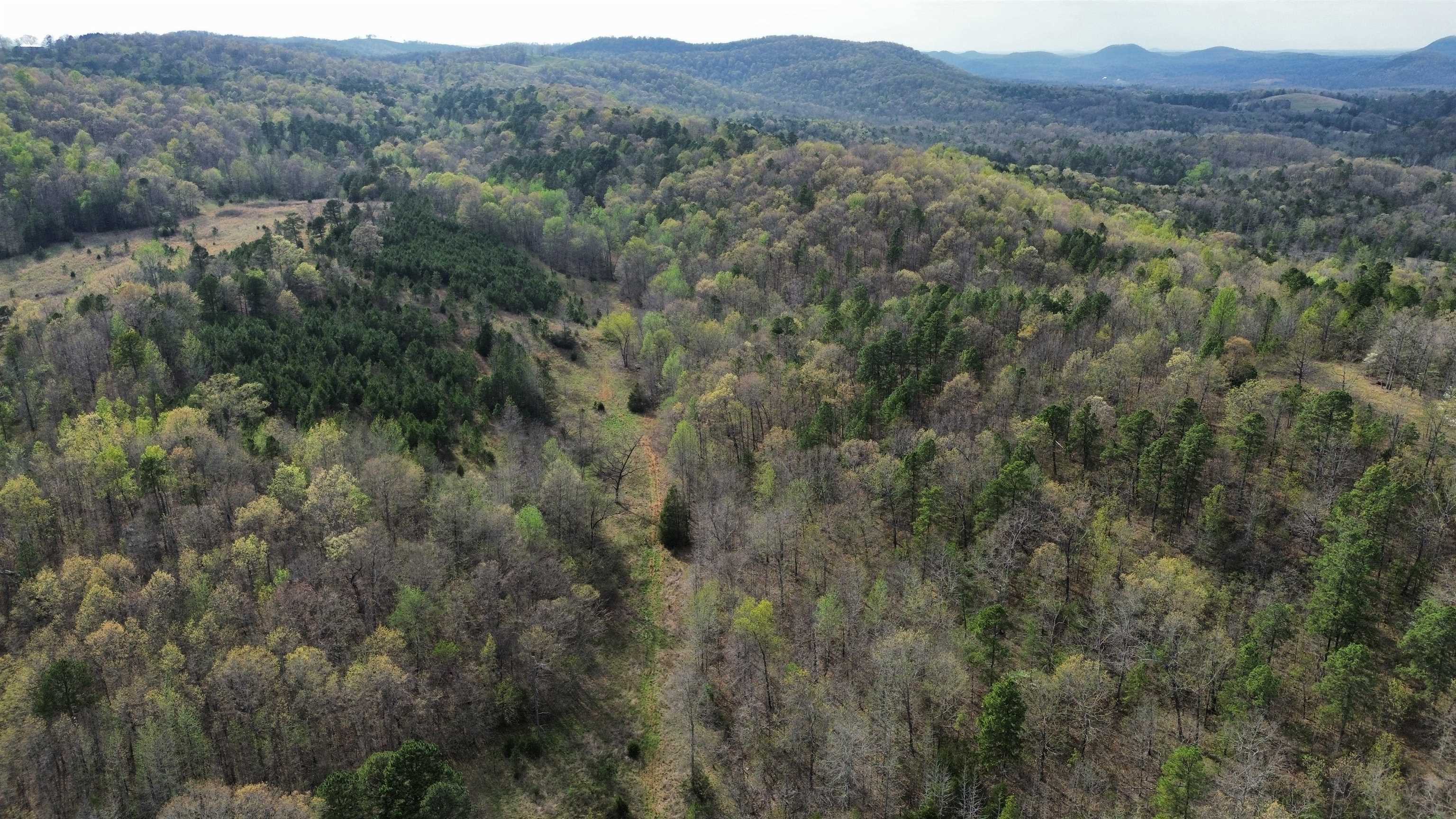 Photo 7 - Vacant Land for sale – 77  Coon Dog Lane   Melbourne, AR