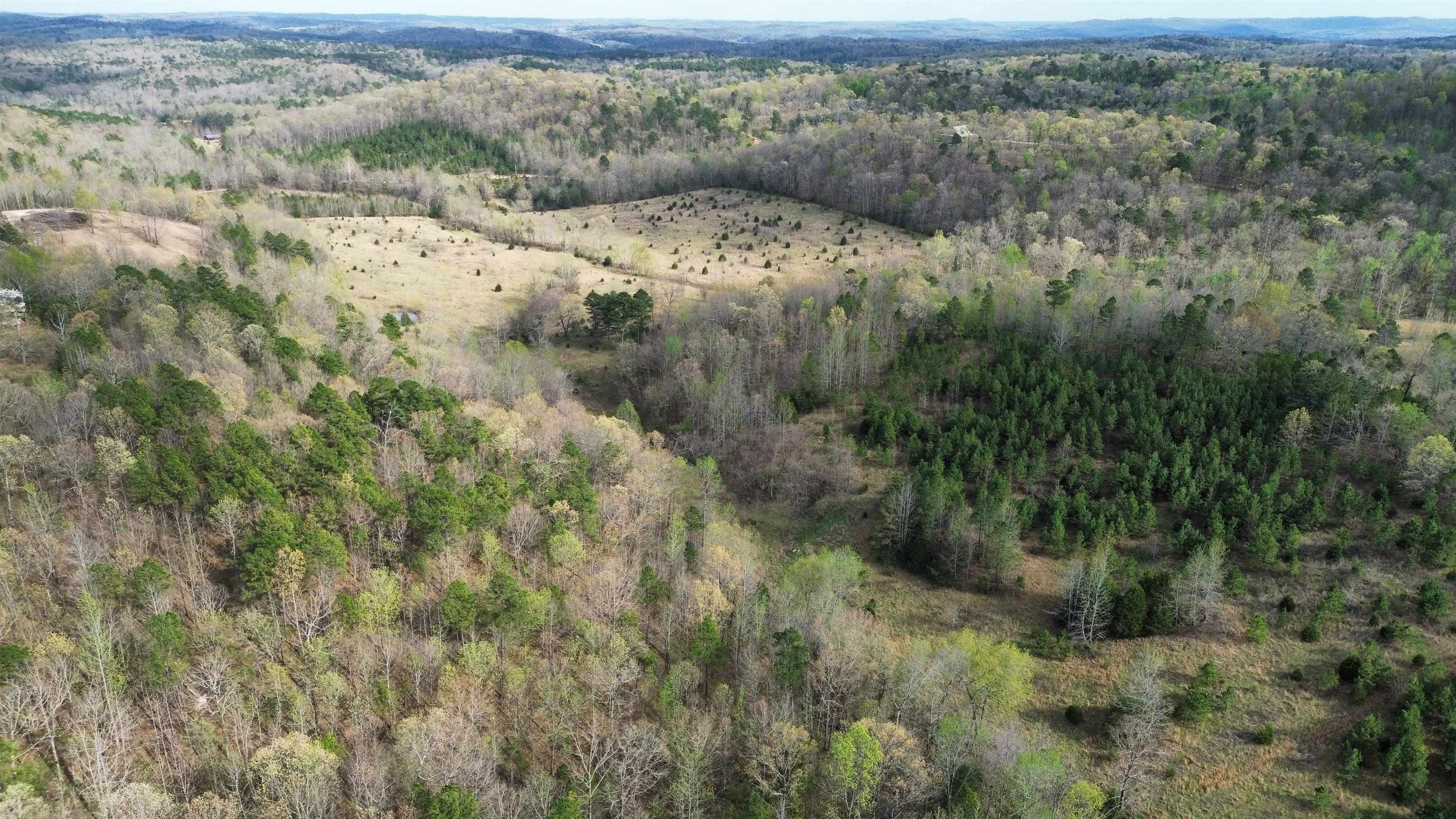 Photo 8 - Vacant Land for sale – 77  Coon Dog Lane   Melbourne, AR