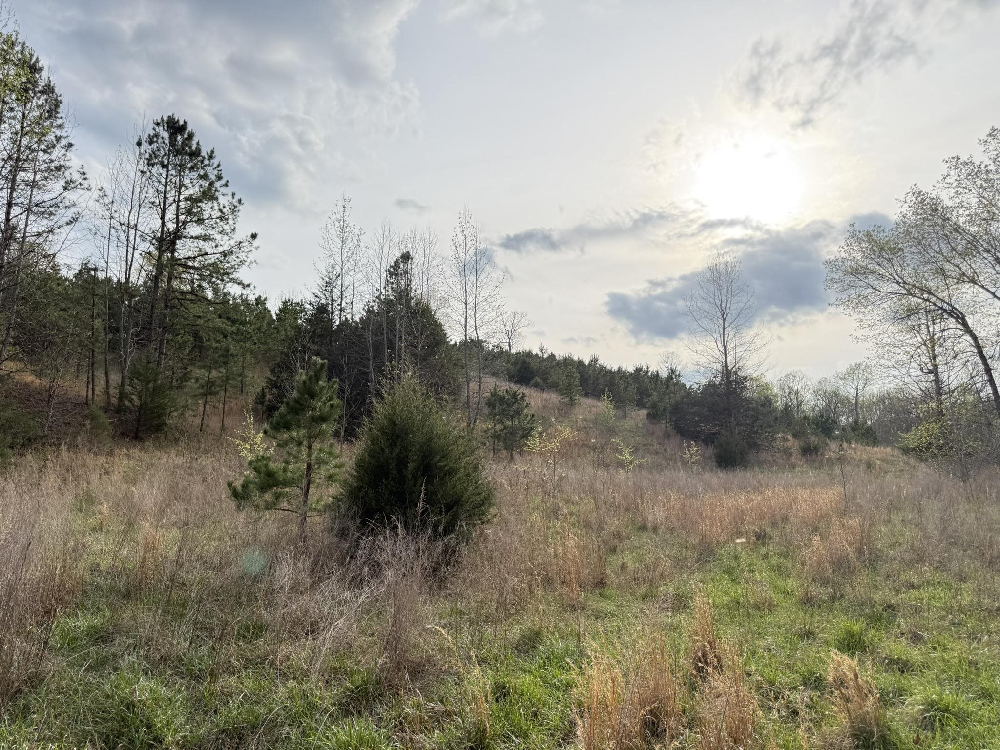 Photo 9 - Vacant Land for sale – 77  Coon Dog Lane   Melbourne, AR