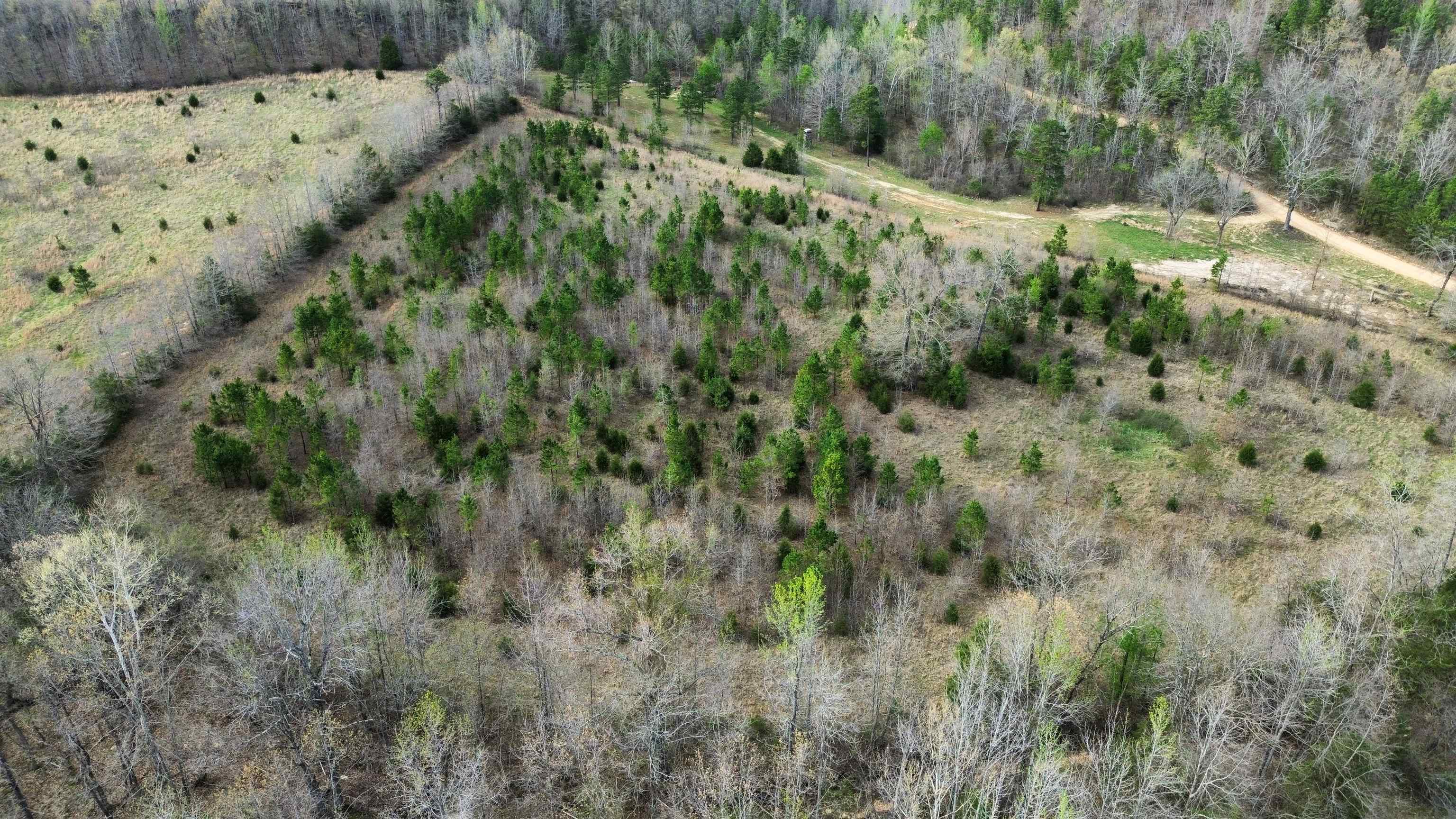 Photo 10 - Vacant Land for sale – 77  Coon Dog Lane   Melbourne, AR