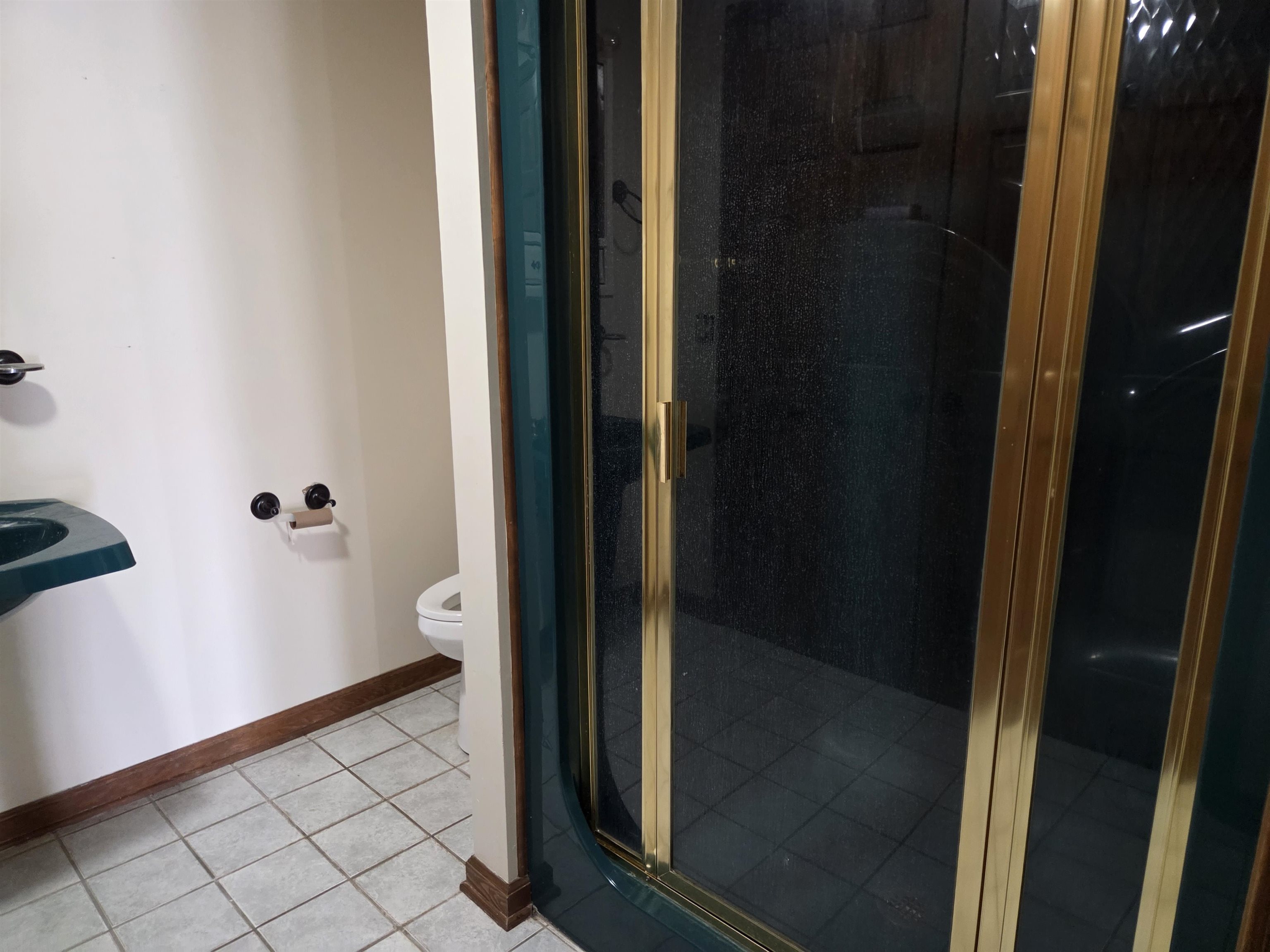 Photo 25 - Residential for sale – 8  Winnebago   Cherokee Village, AR