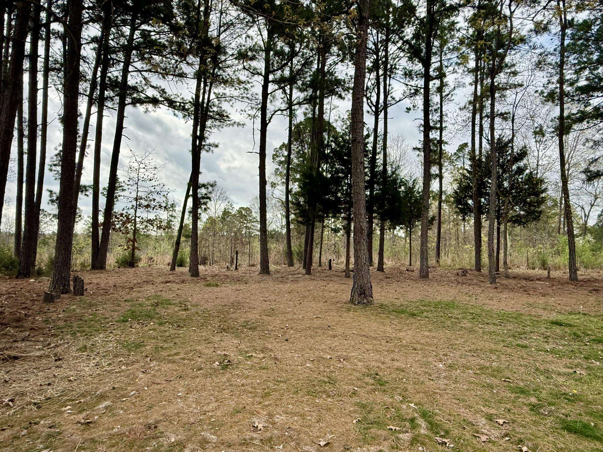 Photo 22 - Residential for sale – 335  Ballard   Oxford, AR