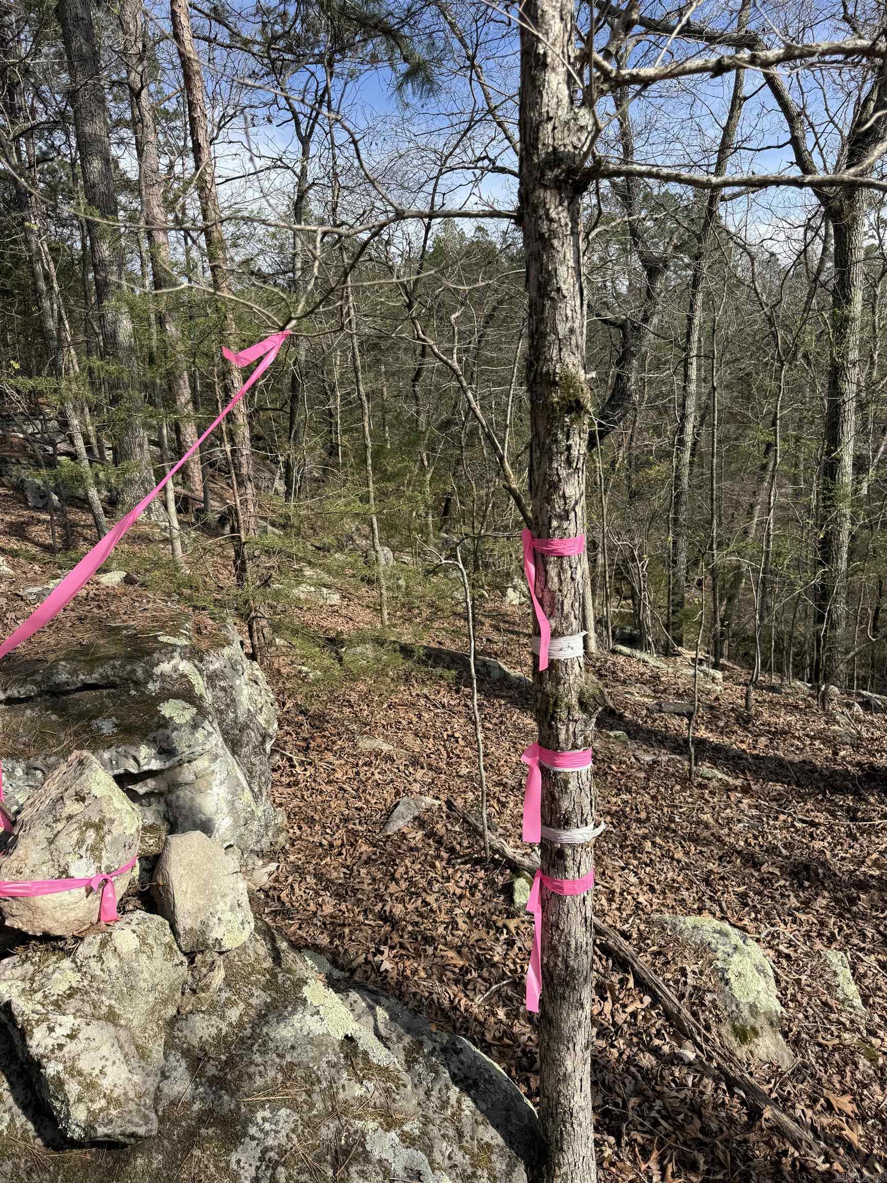 Photo 11 - Vacant Land for sale – 0000  Cool Water Retreat   Mountain View, AR