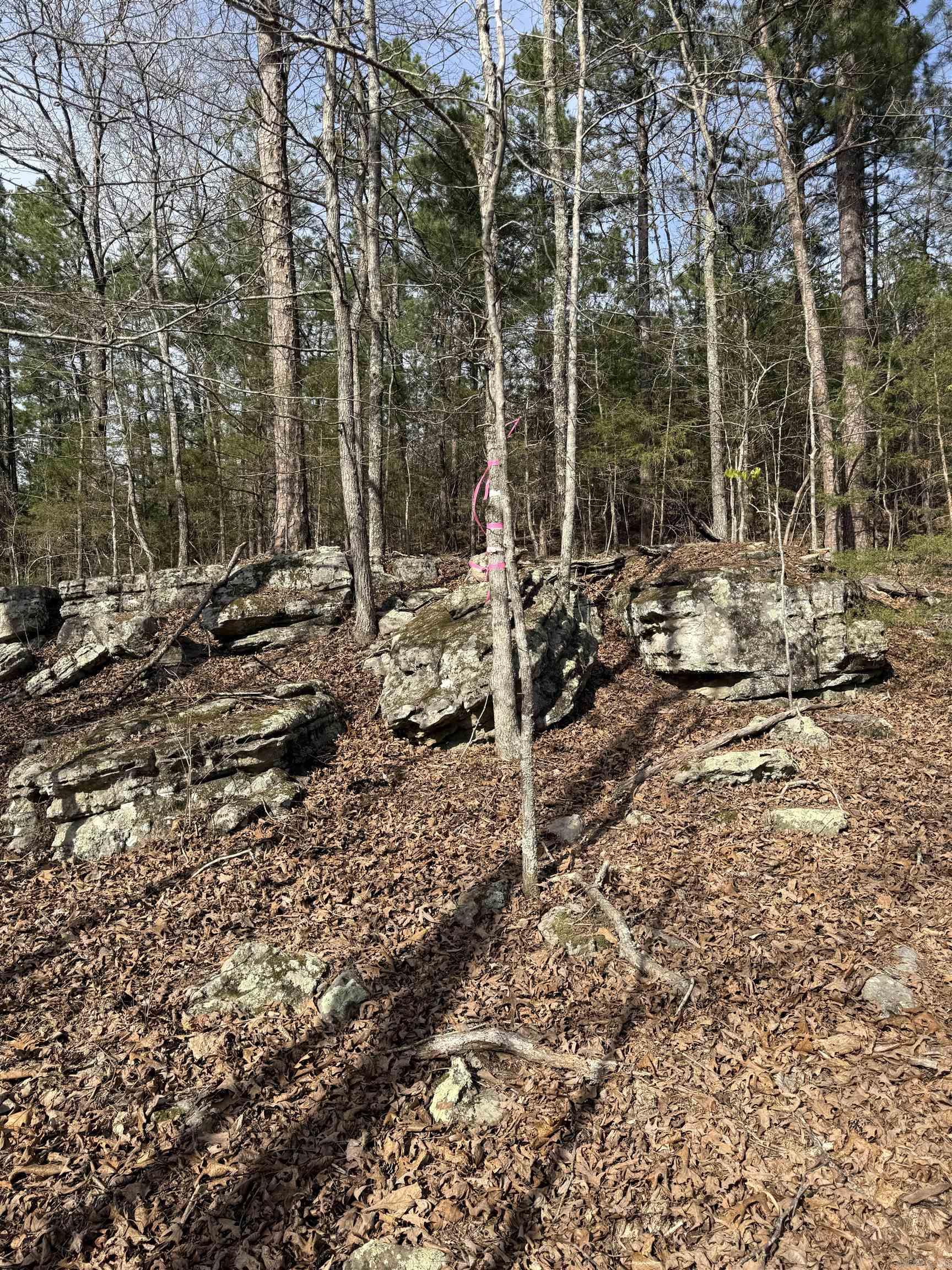 Photo 12 - Vacant Land for sale – 0000  Cool Water Retreat   Mountain View, AR