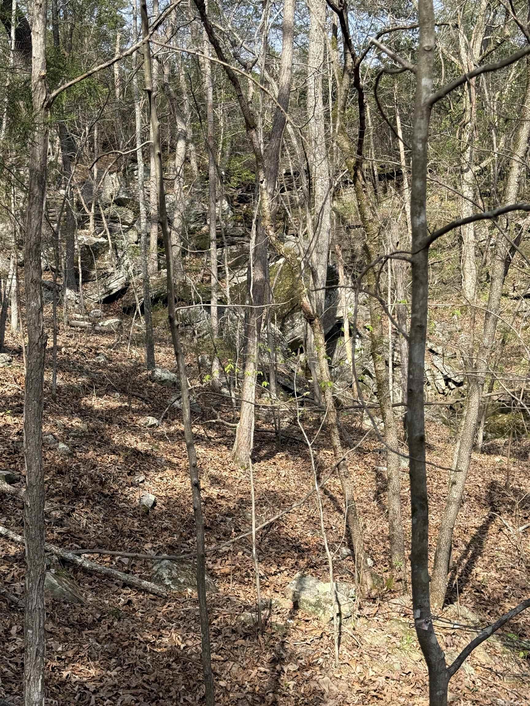 Photo 13 - Vacant Land for sale – 0000  Cool Water Retreat   Mountain View, AR