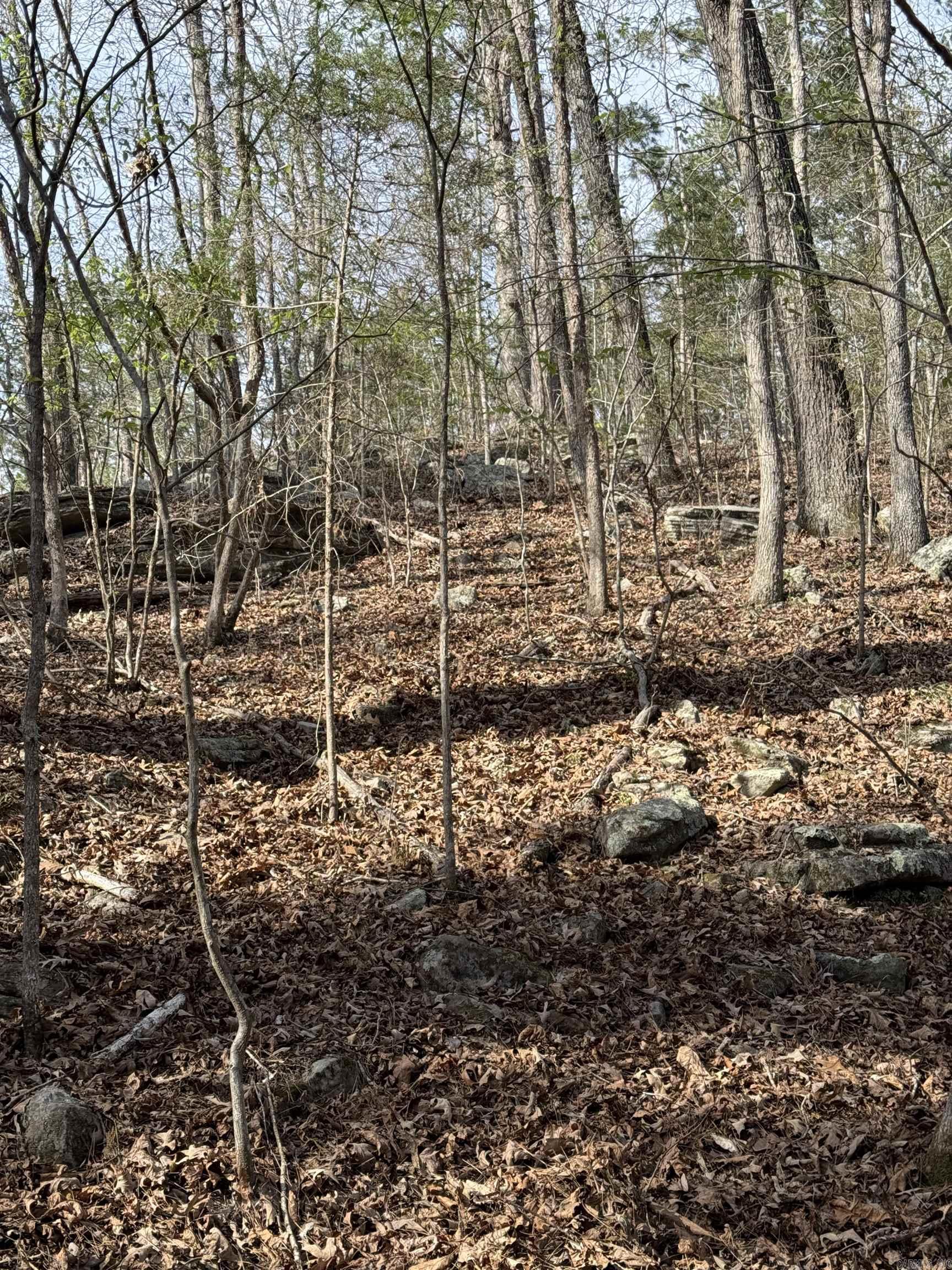 Photo 14 - Vacant Land for sale – 0000  Cool Water Retreat   Mountain View, AR