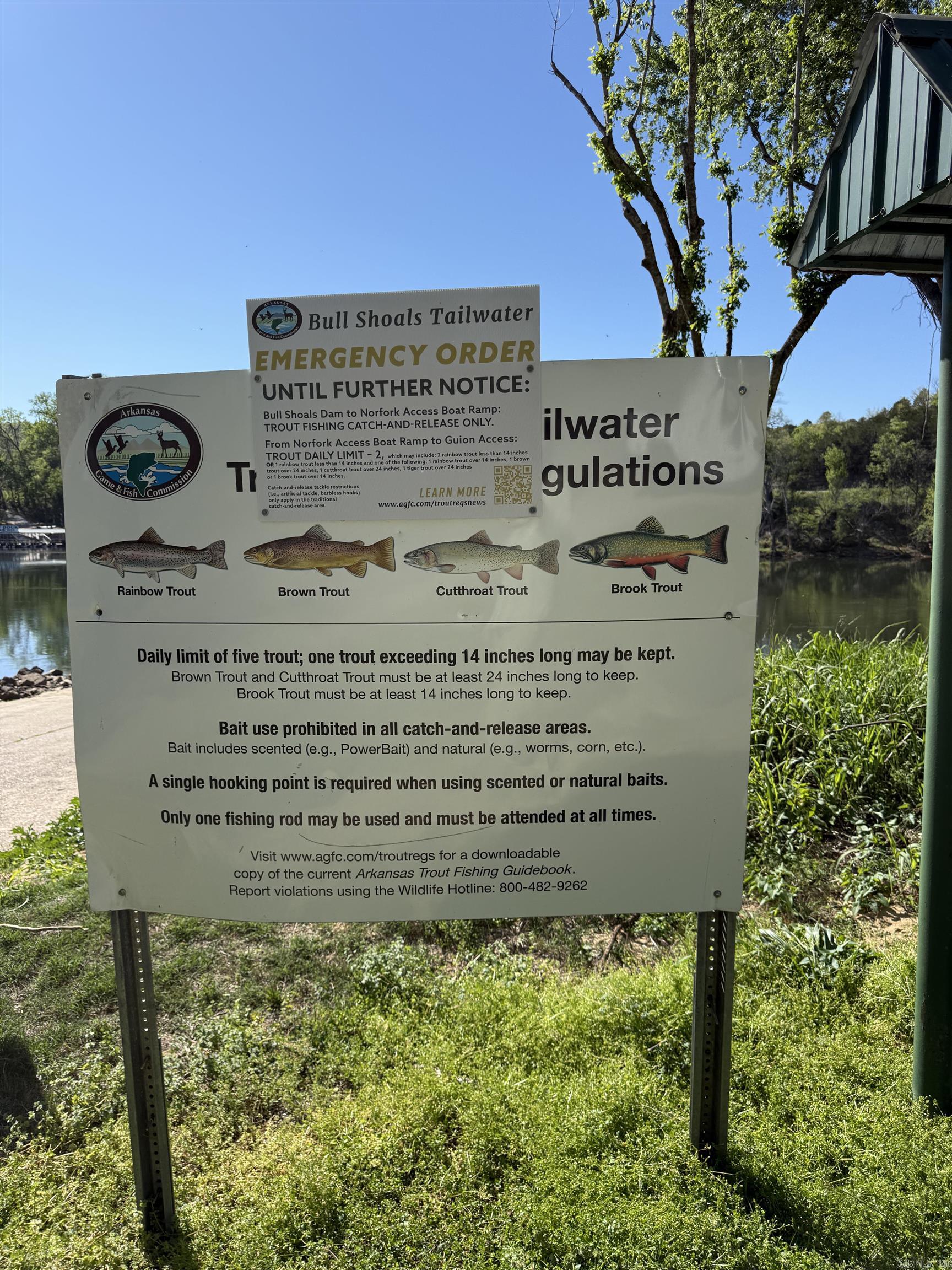 Photo 19 - Vacant Land for sale – 0000  Cool Water Retreat   Mountain View, AR