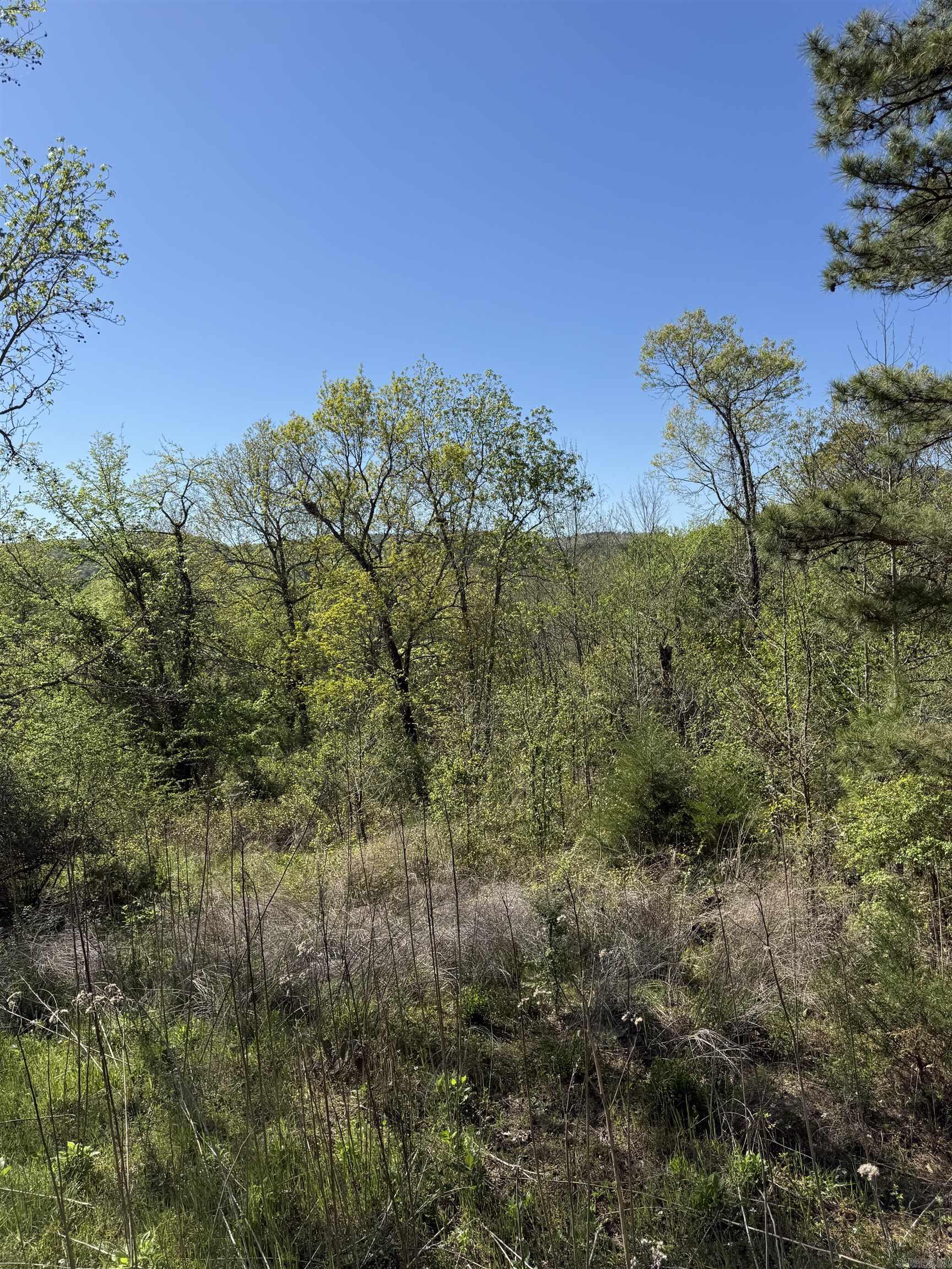 Photo 6 - Vacant Land for sale – 0000  Cool Water Retreat   Mountain View, AR