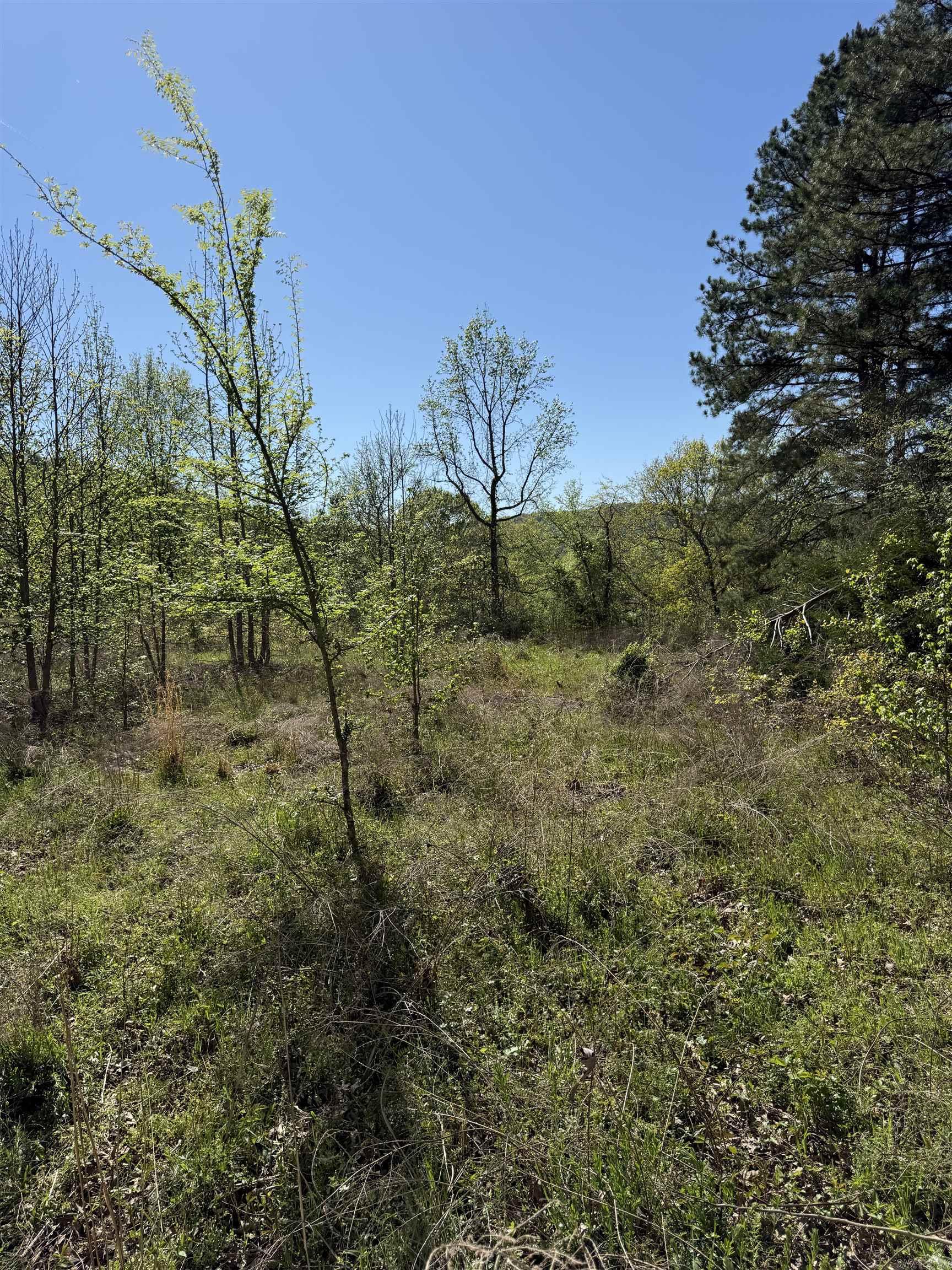 Photo 7 - Vacant Land for sale – 0000  Cool Water Retreat   Mountain View, AR