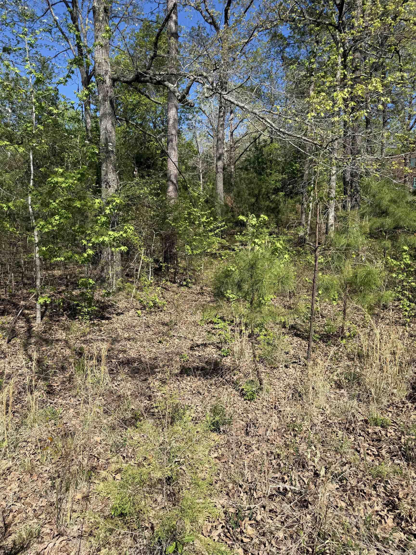 Photo 8 - Vacant Land for sale – 0000  Cool Water Retreat   Mountain View, AR