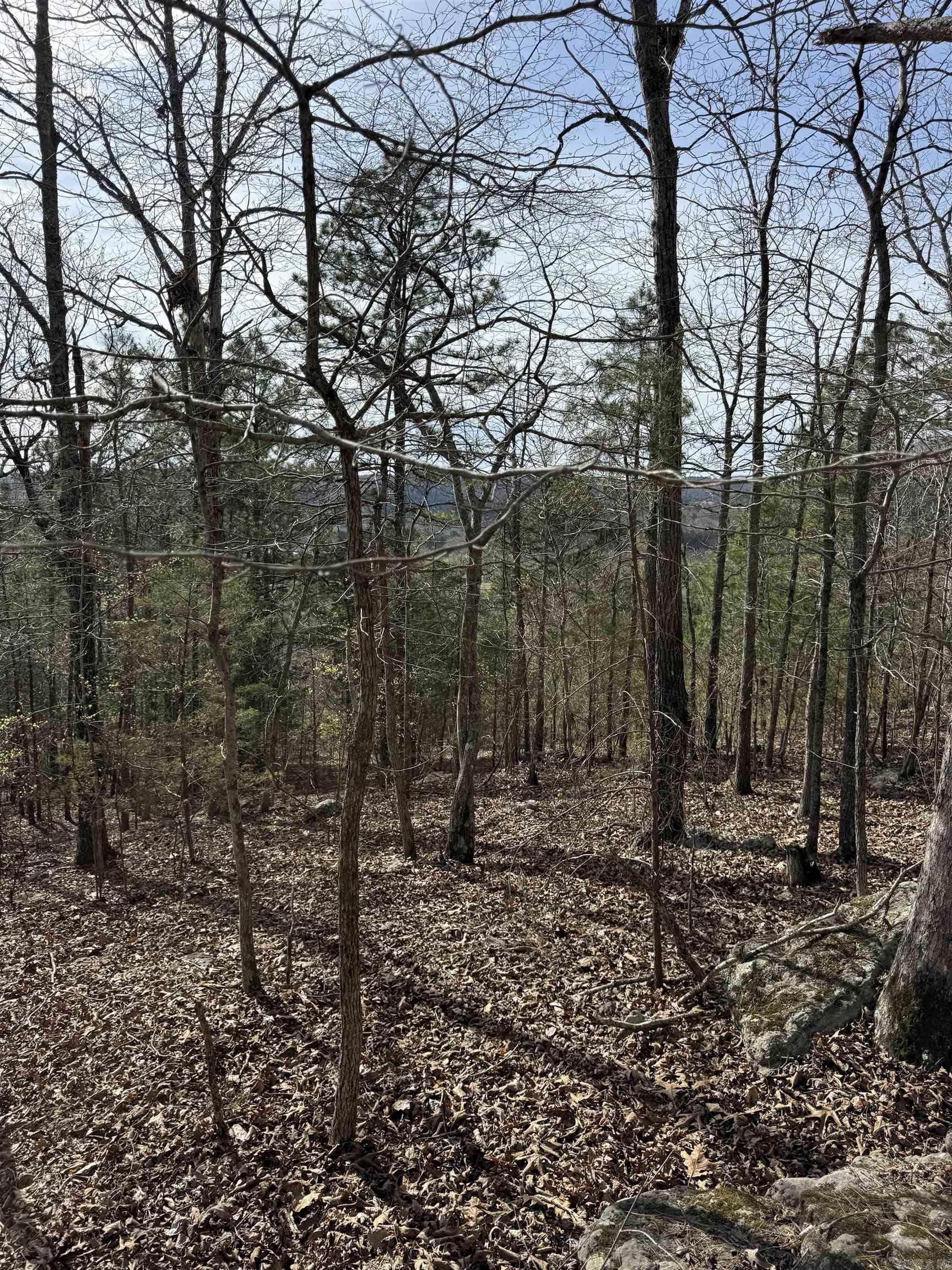 Photo 9 - Vacant Land for sale – 0000  Cool Water Retreat   Mountain View, AR