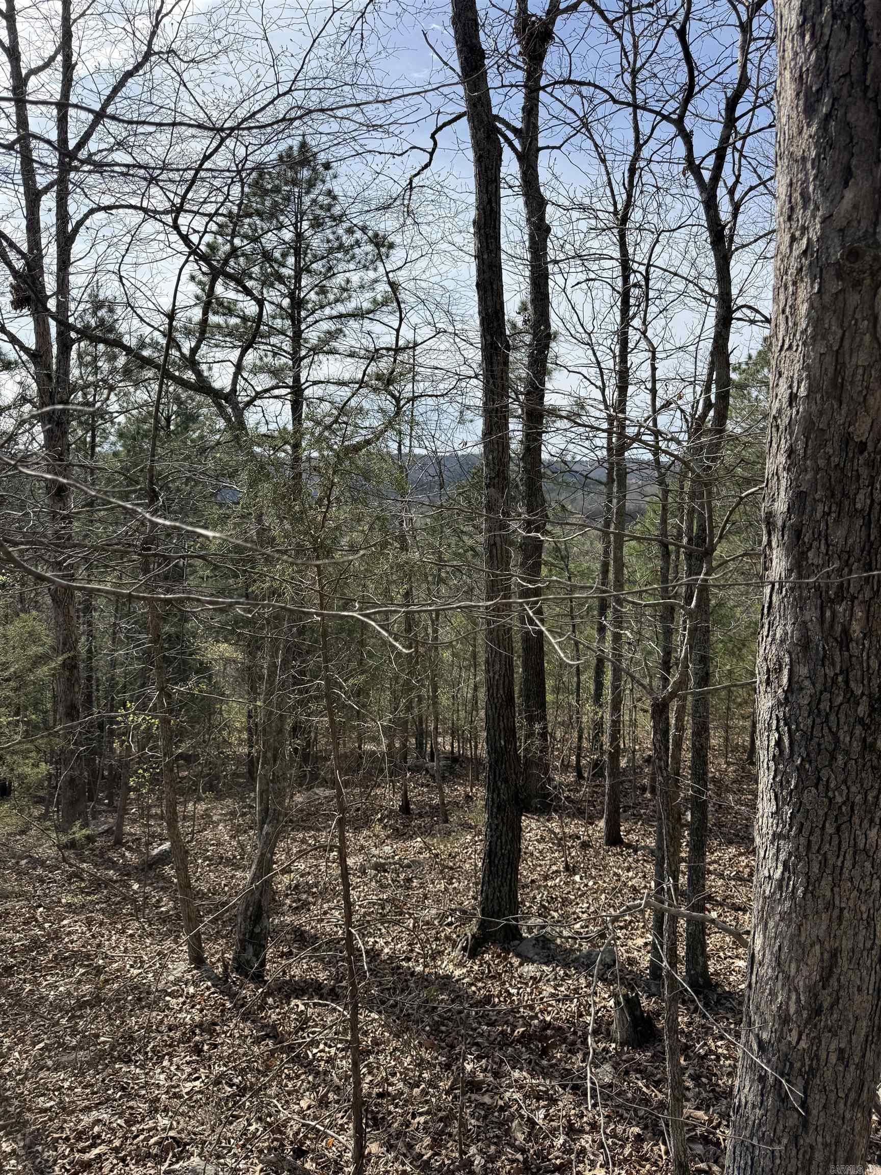 Photo 10 - Vacant Land for sale – 0000  Cool Water Retreat   Mountain View, AR