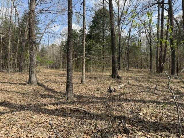Photo 2 - Vacant Land for sale – 000  Milligan Camp   Strawberry, AR