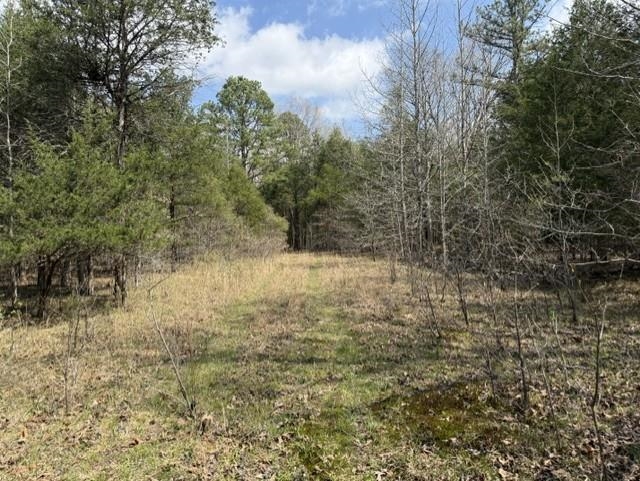 Photo 11 - Vacant Land for sale – 000  Milligan Camp   Strawberry, AR
