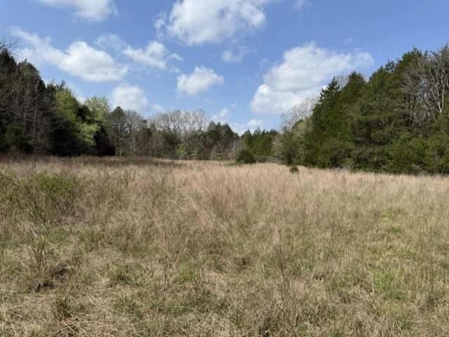 Photo 12 - Vacant Land for sale – 000  Milligan Camp   Strawberry, AR