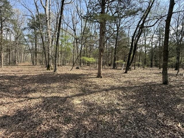 Photo 13 - Vacant Land for sale – 000  Milligan Camp   Strawberry, AR