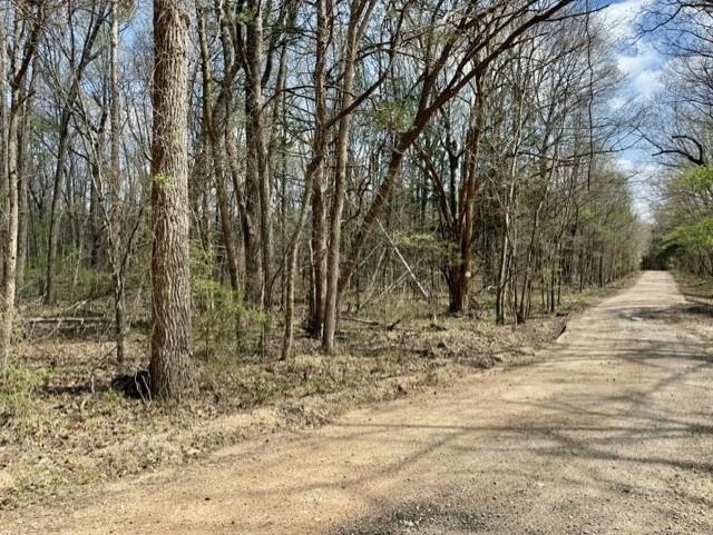 Photo 14 - Vacant Land for sale – 000  Milligan Camp   Strawberry, AR