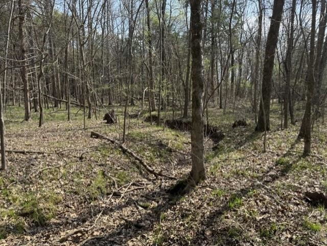 Photo 15 - Vacant Land for sale – 000  Milligan Camp   Strawberry, AR